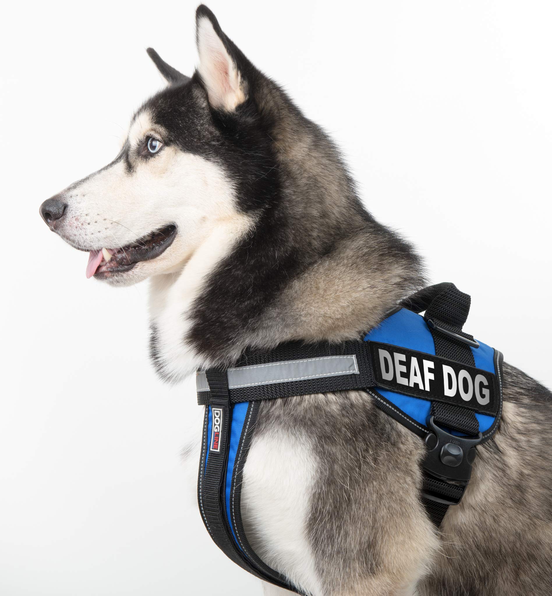 Deaf Dog Velcro Patches - Removable Adhesive Patches for Small & Medium Dogs | Perfect for Training, Safety Awareness & Pet Identification
