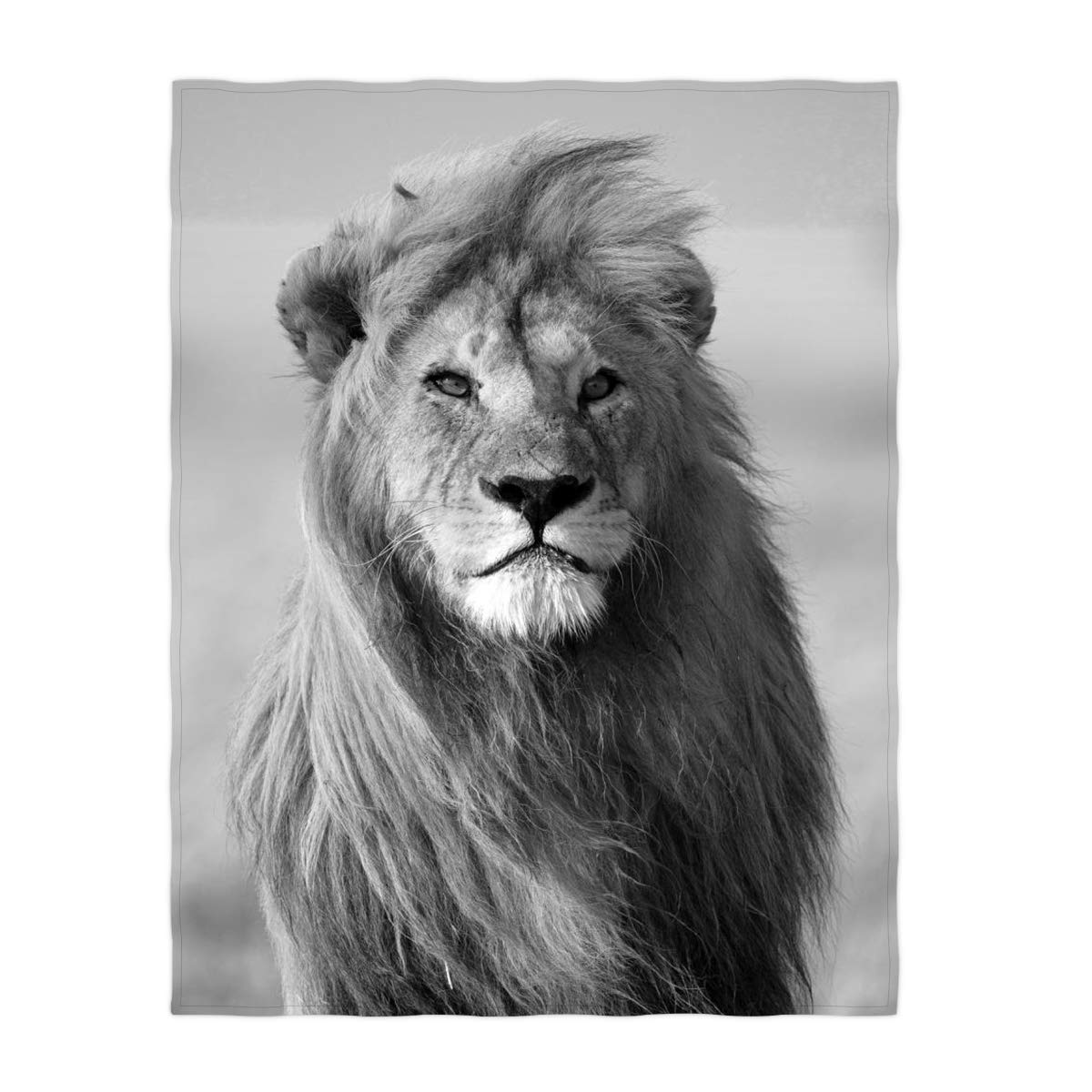 QH 60x80 Inch Black & White Lion Print Super Soft Fleece Throw Blanket - Lightweight All-Season Bed & Sofa Blanket for Home, Office, Travel and Gift Giving