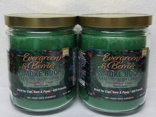 Evergreen & Berries Smoke Odor Eliminator Candle - 13oz Jar, Set of 2 | Natural Air Freshener for Home, Kitchen, Bathroom & Car | Long-Lasting Fragrance for Odor Removal & Relaxation