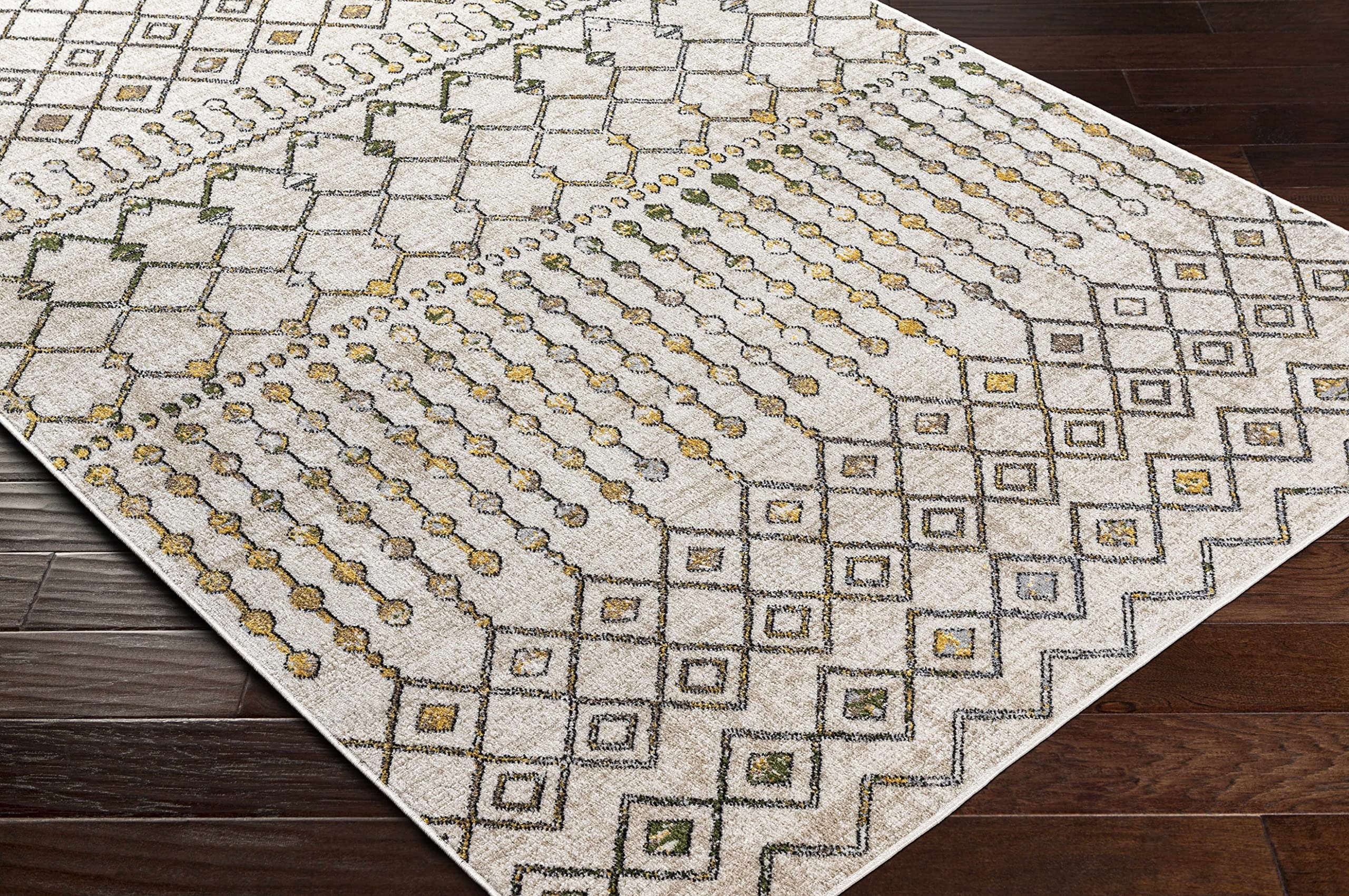 Machine Washable Area Rug for Living Room & Bedroom - 5'3