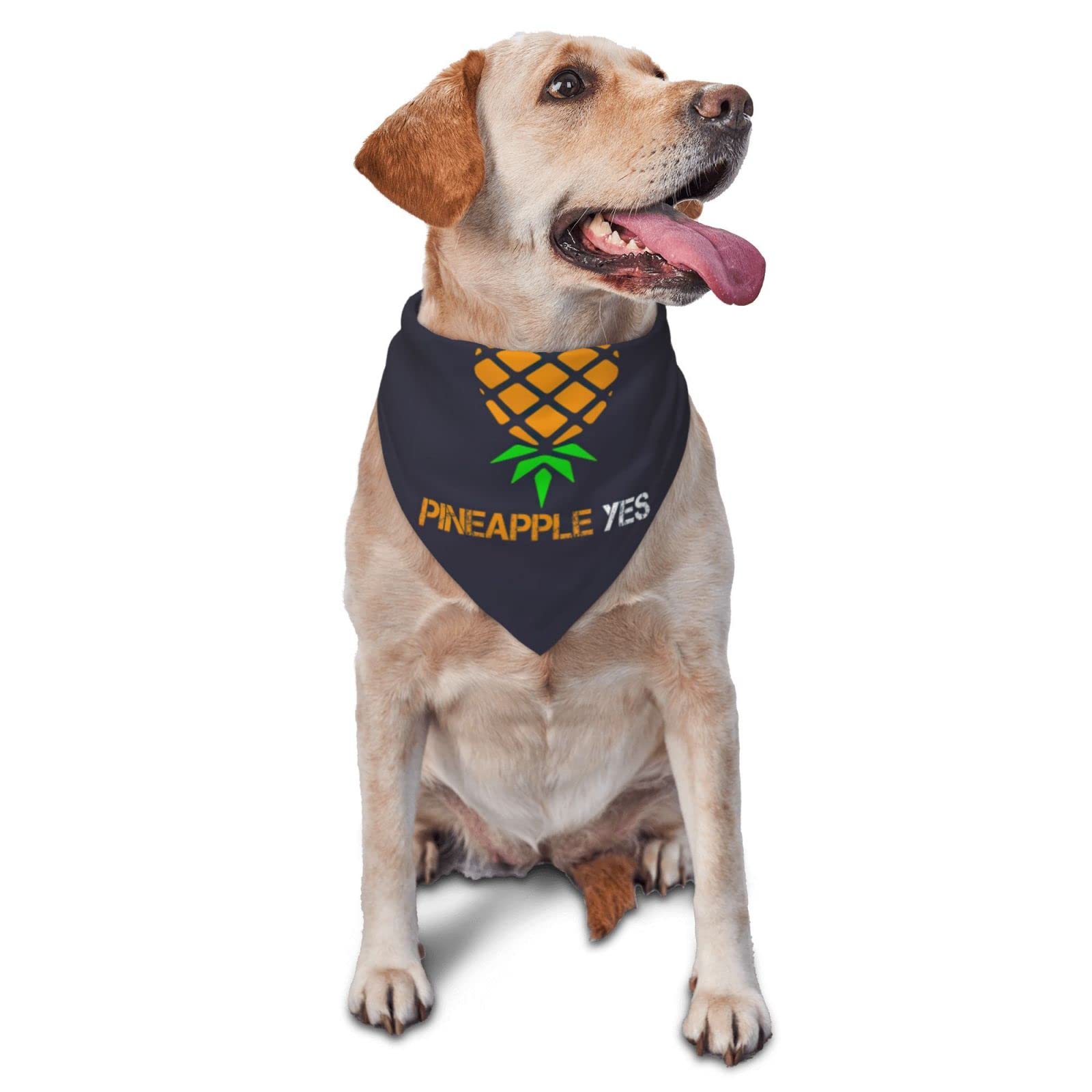Funny Upside Down Pineapple Swinger Dog Bandana - Adjustable Soft Triangle Pet Scarf for Small Medium Large Puppies & Cats - Perfect for Summer Parties, Swingers Events & Pet Costume Accessories