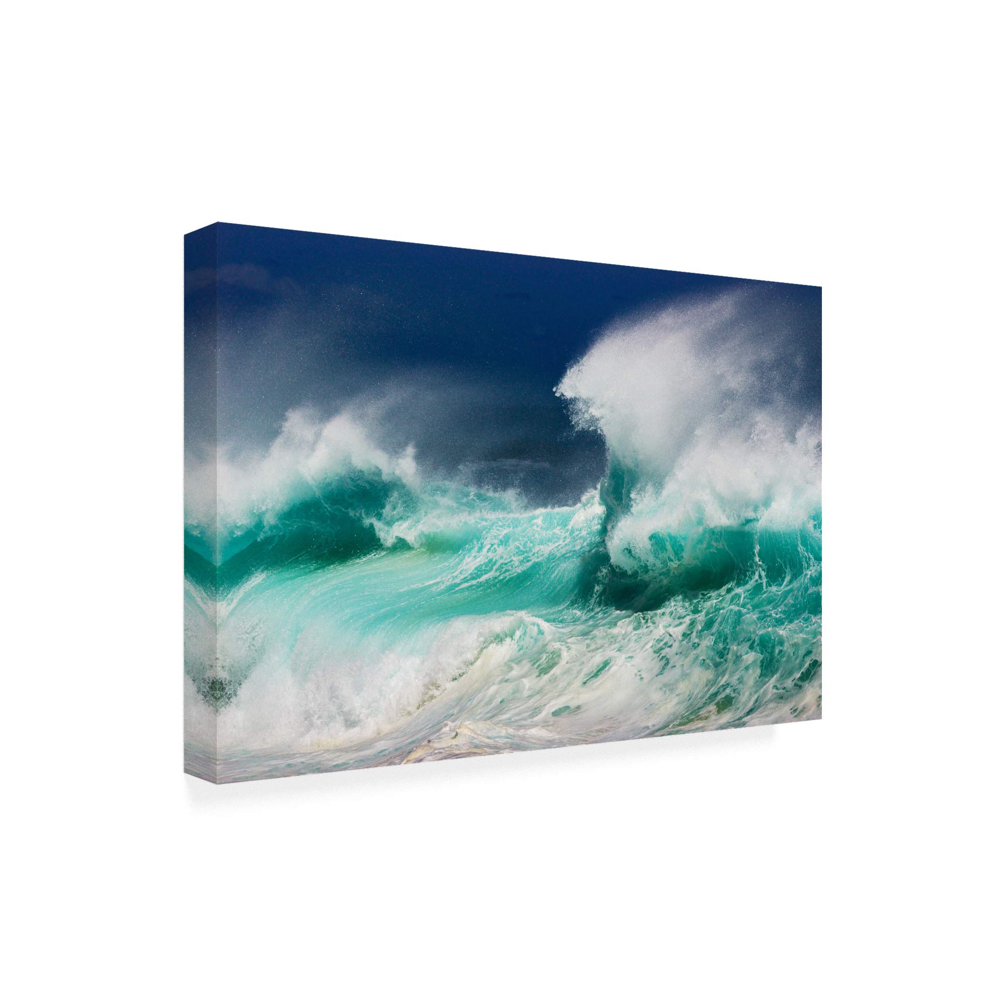Trademark Fine Art - 30x47 Dead Man's Beach by Ralf Prien - Premium Canvas Wall Art for Living Room, Bedroom & Office Decor