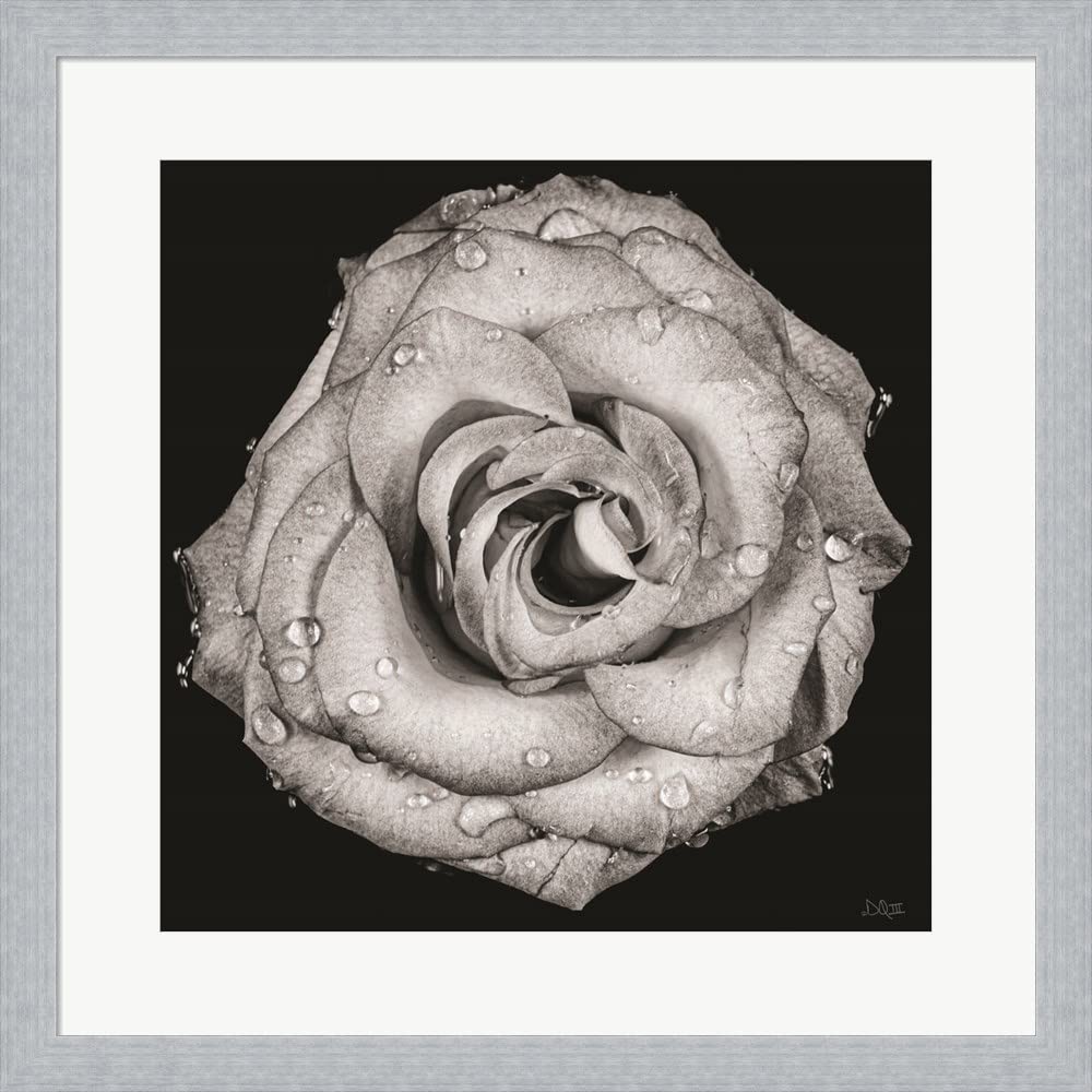 Donnie Quillen Framed Art Print - 'A Love Lost' - 19x19 Inches Slim Silver Frame Wall Picture - Perfect for Living Room, Bedroom & Office Decor