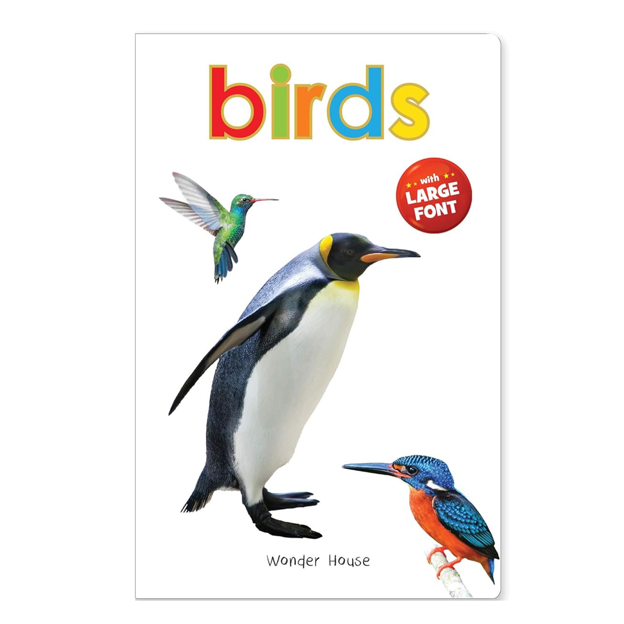 Birds - Big Board Books for Toddlers & Babies | Durable Early Learning Picture Book for Kids | Perfect for Storytime, Gifts & Preschool Education
