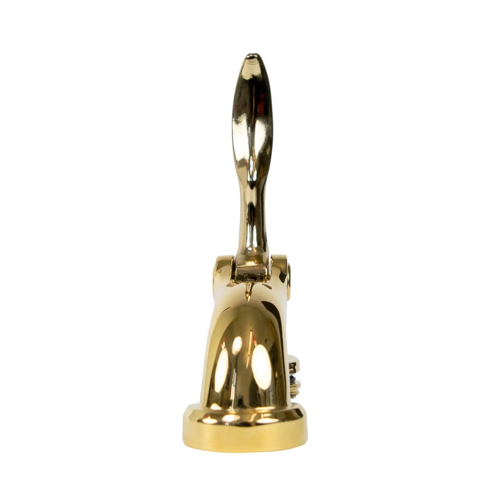 Ex Libris Book Embosser - Brass Desk Seal with Torch of Learning Design for Book Lovers & Collectors - Perfect for Personalizing Books, Diplomas & Important Documents
