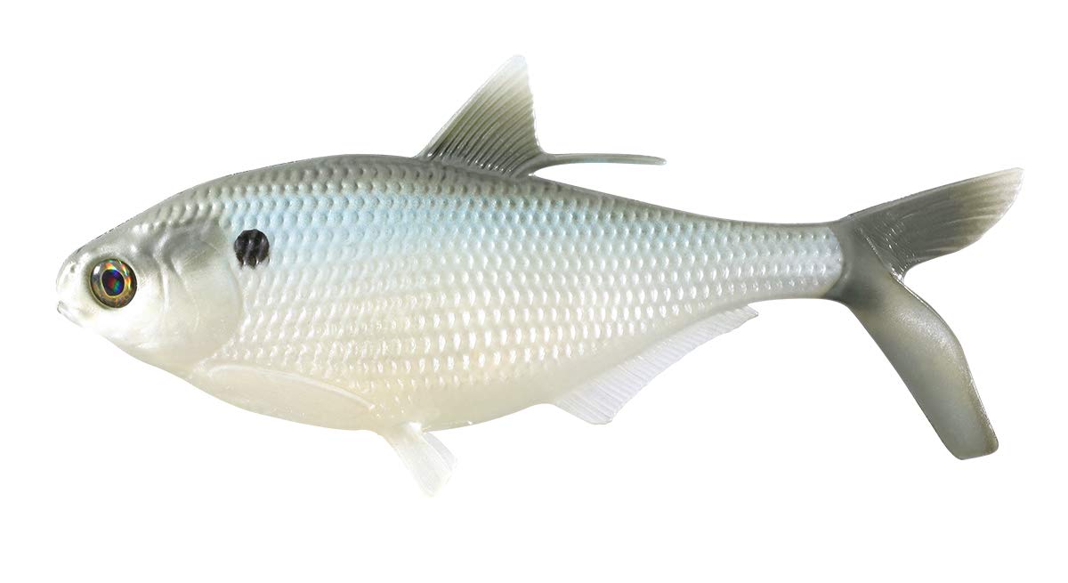 13 Fishing BAMF Shad Soft Swimbaits - Perfect for Bass Fishing
