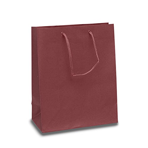 Premium Maroon Matte Euro Bags - 100 Pack | 8