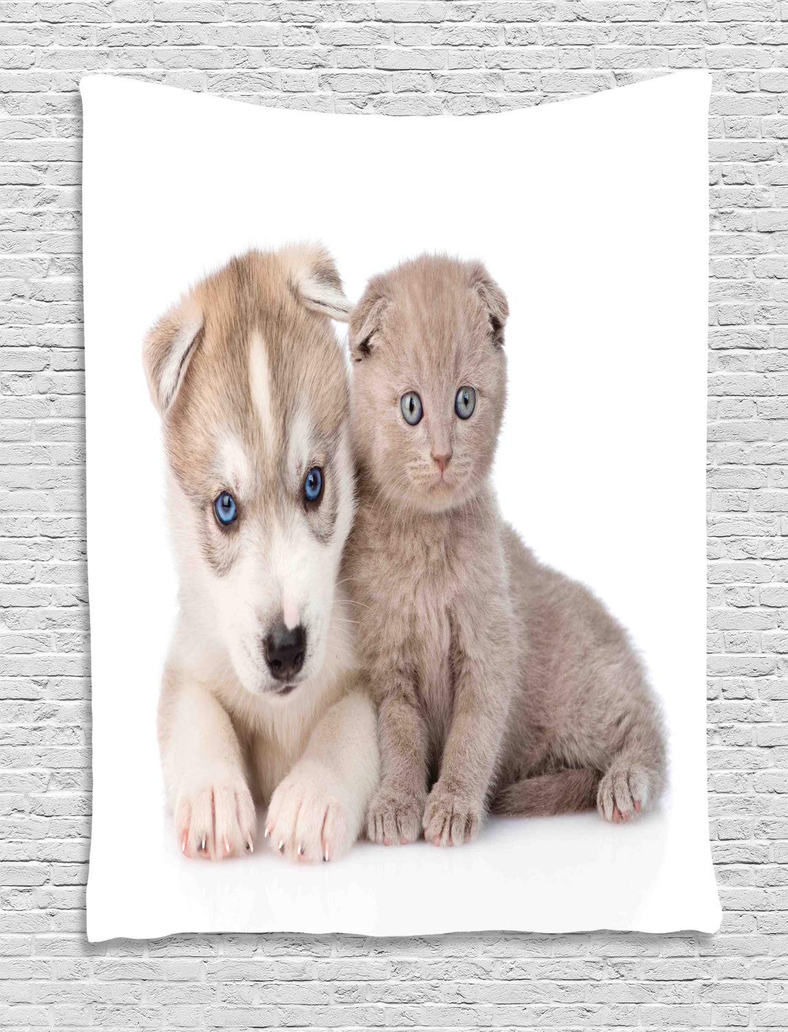 Ambesonne Dog and Cat Tapestry - Scottish Kitten & Siberian Puppy Wall Art Decor for Bedroom, Living Room, Dorm - 60