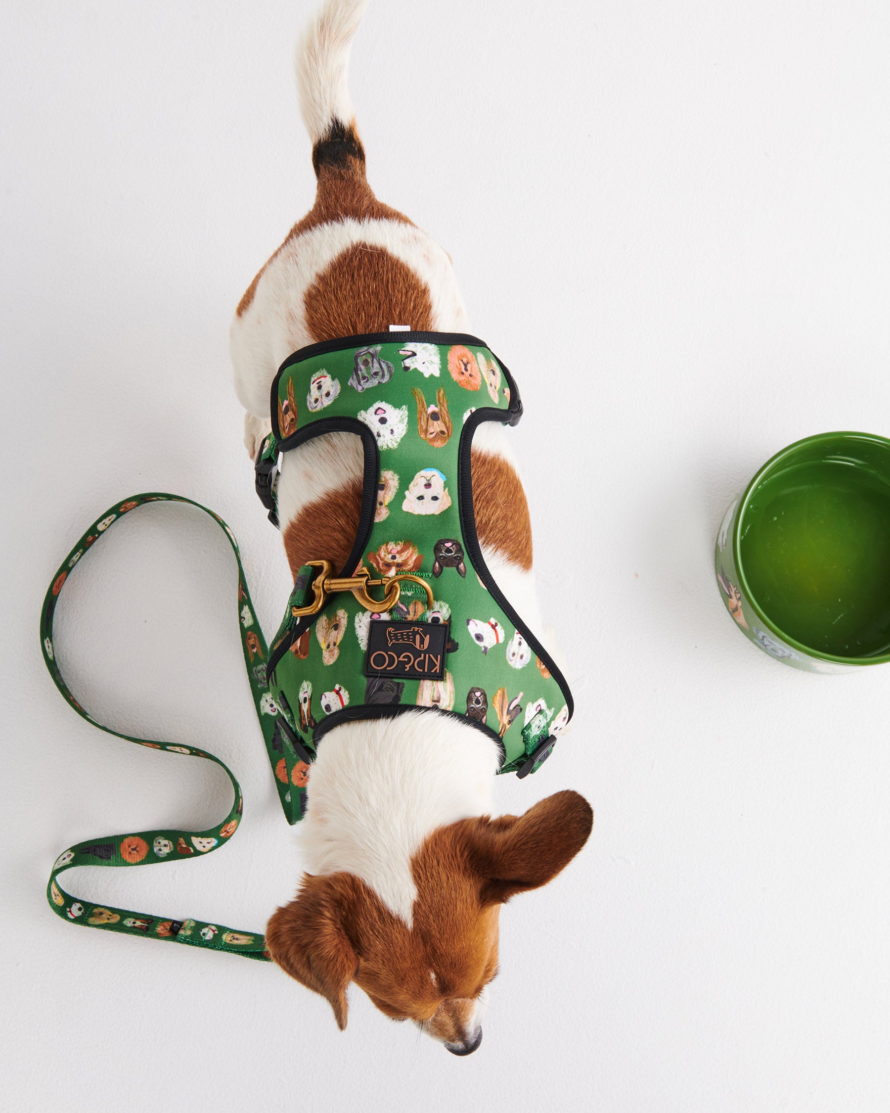 **Best Dog Harness for Dog Parks - Adjustable & Reflective Pet Harness for Small, Medium & Large Dogs - Perfect for Outdoor Walks, Hiking & Training**