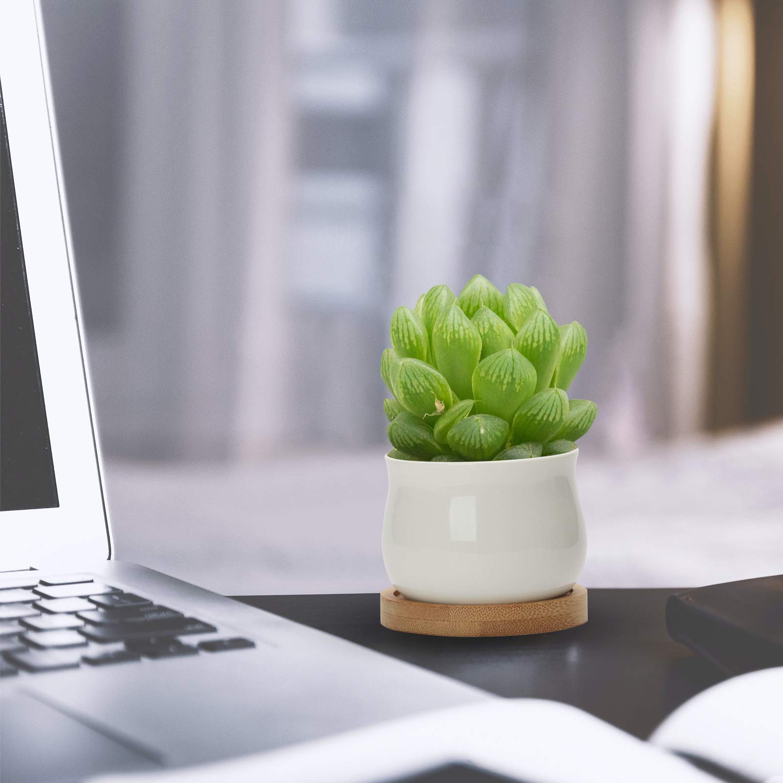 ZOUTOG 12 Pack 2.5 Inch White Mini Ceramic Succulent Pots with Drainage Hole - Small Square Pattern Planters for Indoor Plants, Home Decor, Office Desk, Wedding Favors (Plants Not Included)