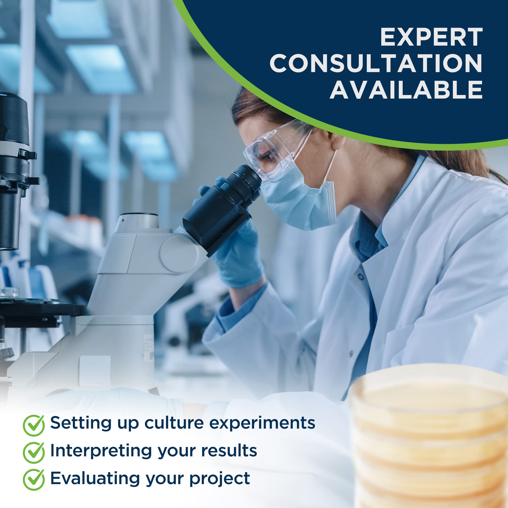 Evviva Sciences Potato Dextrose Agar Petri Dishes - Prepoured PDA for Mushroom Cultivation, Home Science Experiments & School Projects - Ready-to-Use Petri Dishes with Agar for Lab Testing & Mycology Studies