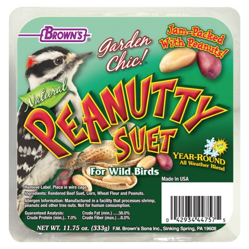 Premium Peanutty Suet Cakes for Birds - High Energy Wild Bird Food, 8 Pack - Perfect for Backyard Bird Feeders & Winter Bird Feeding