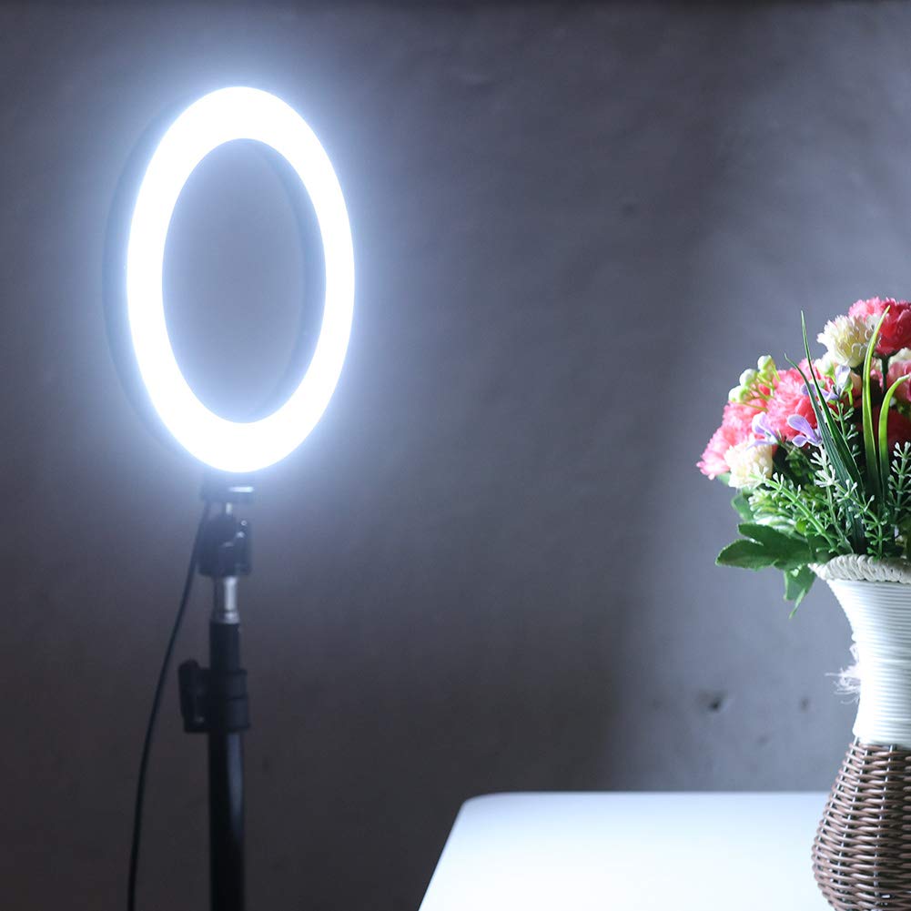 10 Inch Dimmable LED Ring Light with Foldable Tripod & Phone Holder - Perfect for Indoor/Outdoor Photography, Video Shooting, YouTube, TikTok, and Live Streaming