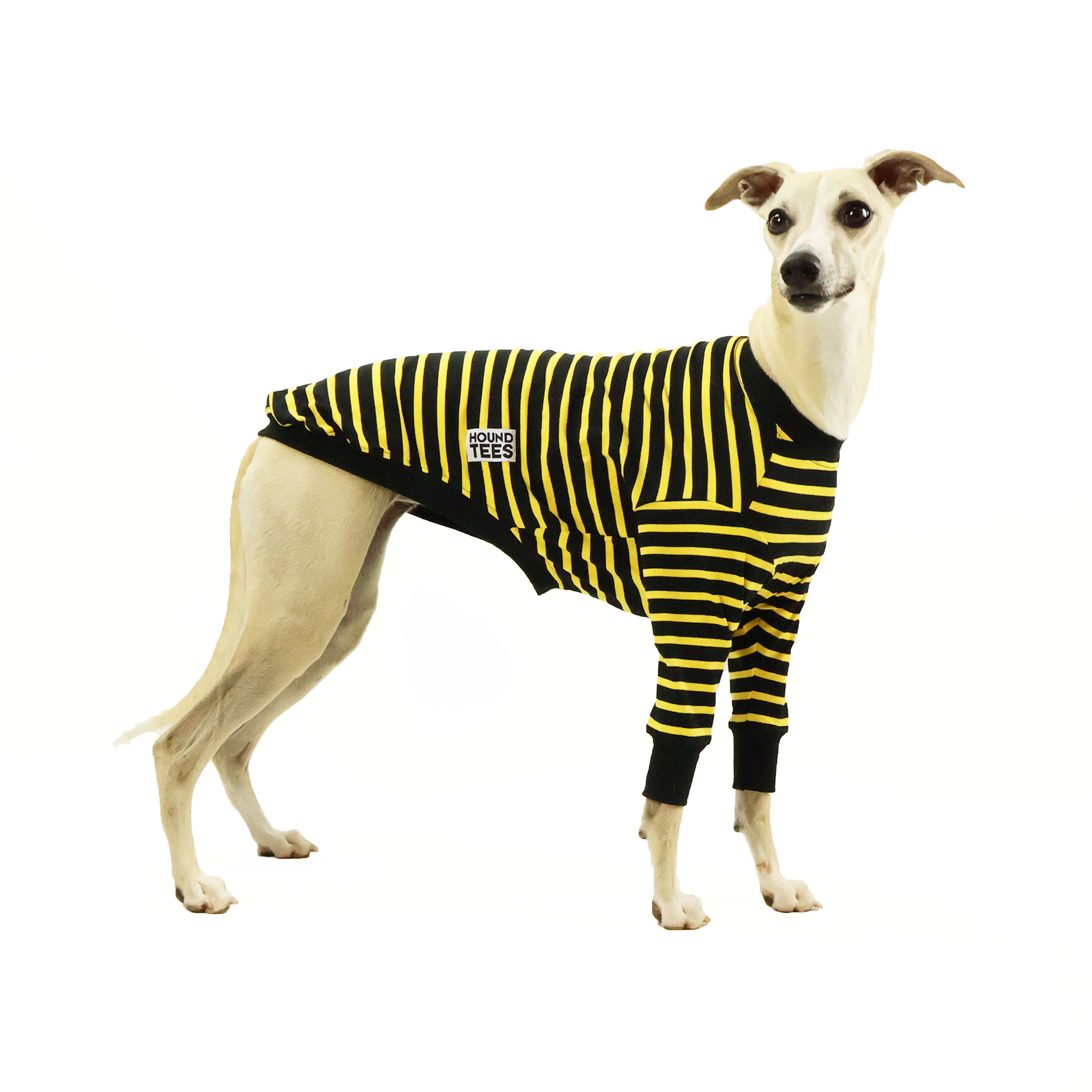 Bumble Whippet Long Sleeve Hound T-Shirt | Cute Dog Lover Apparel for Men & Women | Perfect for Casual Wear, Dog Walks & Pet Owner Gifts