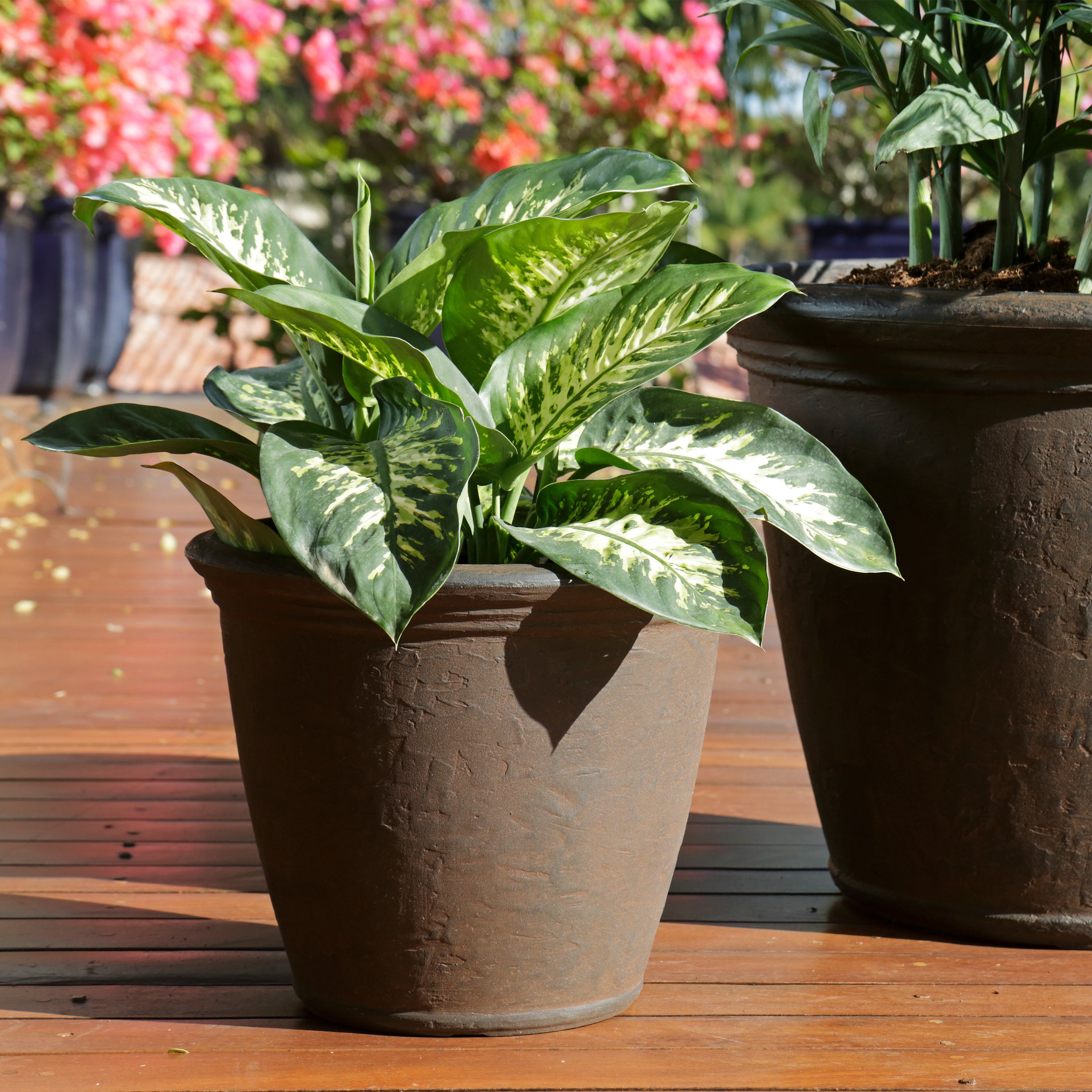 Sunnydaze Anjelica Outdoor Resin Planter - 15.25 Inch Diameter - Perfect for Garden, Patio, and Porch Decor