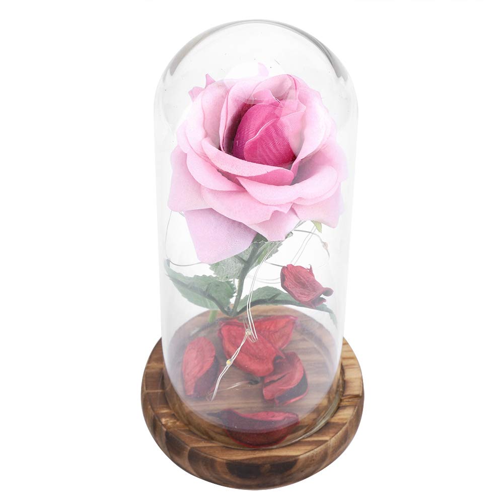 The Little Prince Preserved Eternal Rose with LED Lights in Glass Dome - Romantic Gift for Girlfriend, Valentine's Day, Mother's Day (Red/Pink) | Perfect for Anniversary, Wedding, Birthday & Home Decor