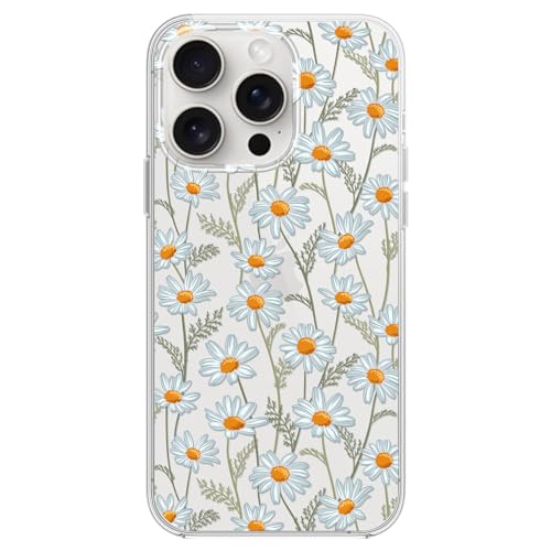 Daisies