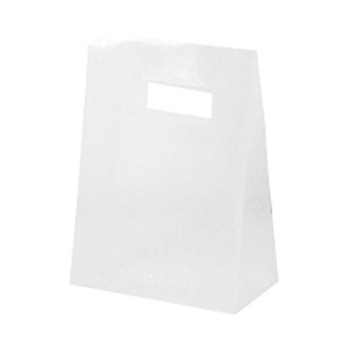 JAM PAPER Frosted Lunch Bags - 3