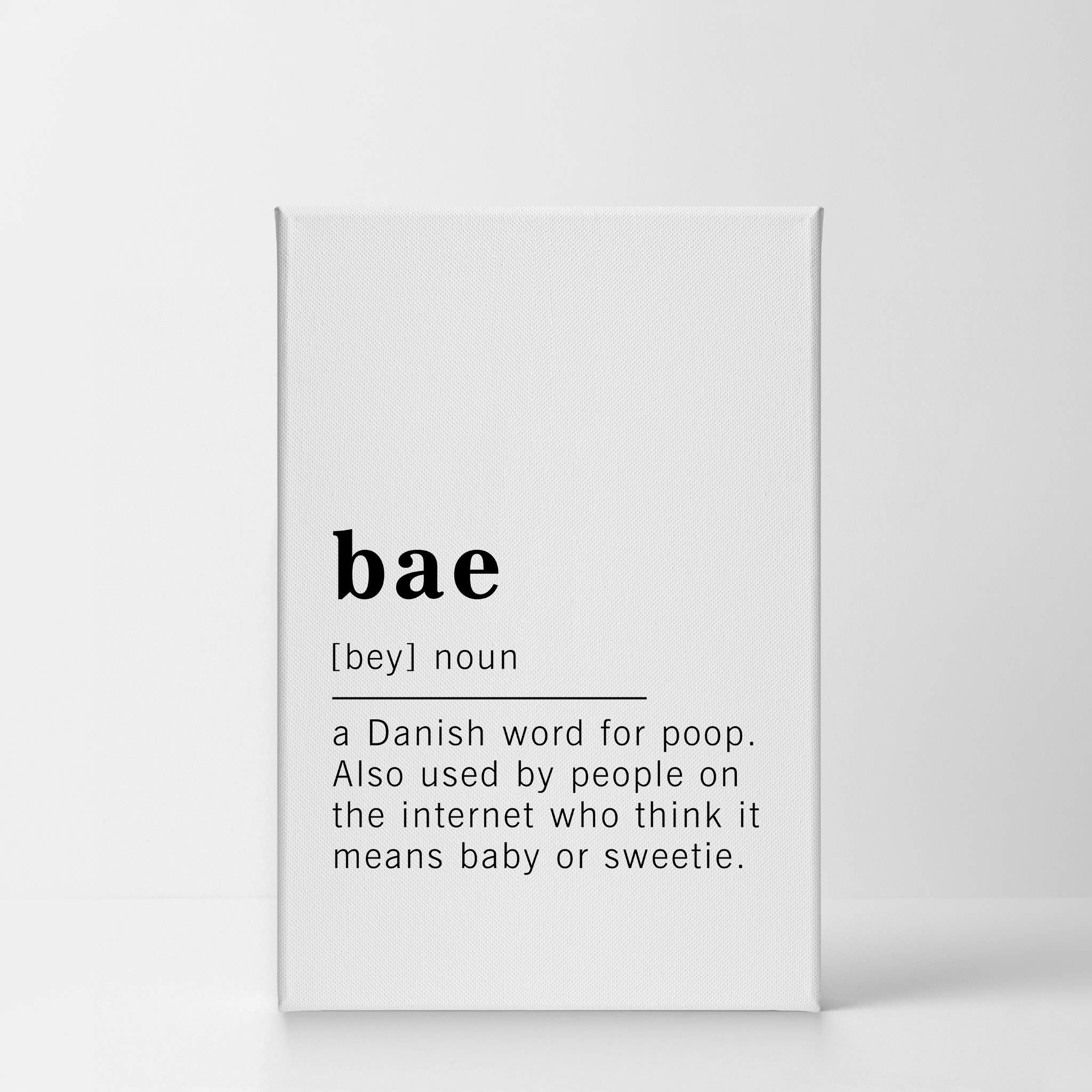 Funny Noun Dictionary Definition of Bae Canvas Print - Inspirational Quote Wall Art for Office, Living Room, Bedroom & Bathroom - Ready to Hang Home Decor (36x24 inches) - Made in USA | Perfect Gift for Couples & Funny Home Decoration