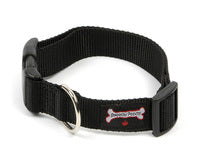 Smoochy Poochy Nylon Quick Release Dog Collar with Buckle - Adjustable, Durable & Comfortable Pet Collar for Small Medium Large Dogs - Perfect for Walking, Training & Outdoor Adventures (Multiple Colors)