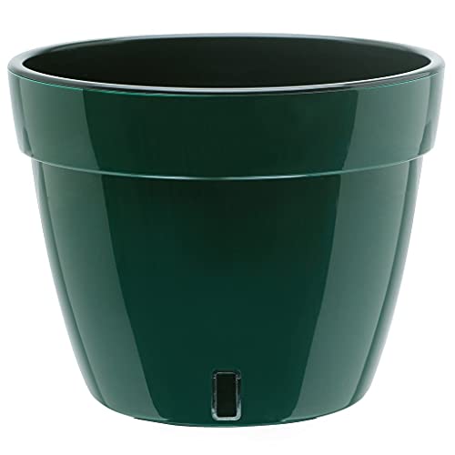 Green/Black