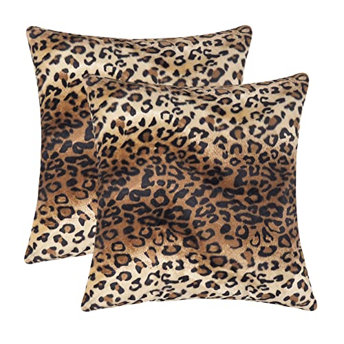 Set of 2, 24x24 Inch