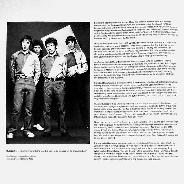 Buzzcocks 2 - Classic Punk Rock Band Merchandise & Collectibles | Perfect for Music Fans, Concerts & Punk Rock Decor