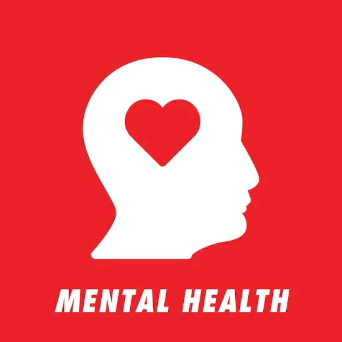 Mental Health Meeting Sheet - Printable Therapy Notes & Counseling Session Planner for Therapists, Counselors & Social Workers | Track Client Progress & Session Plans