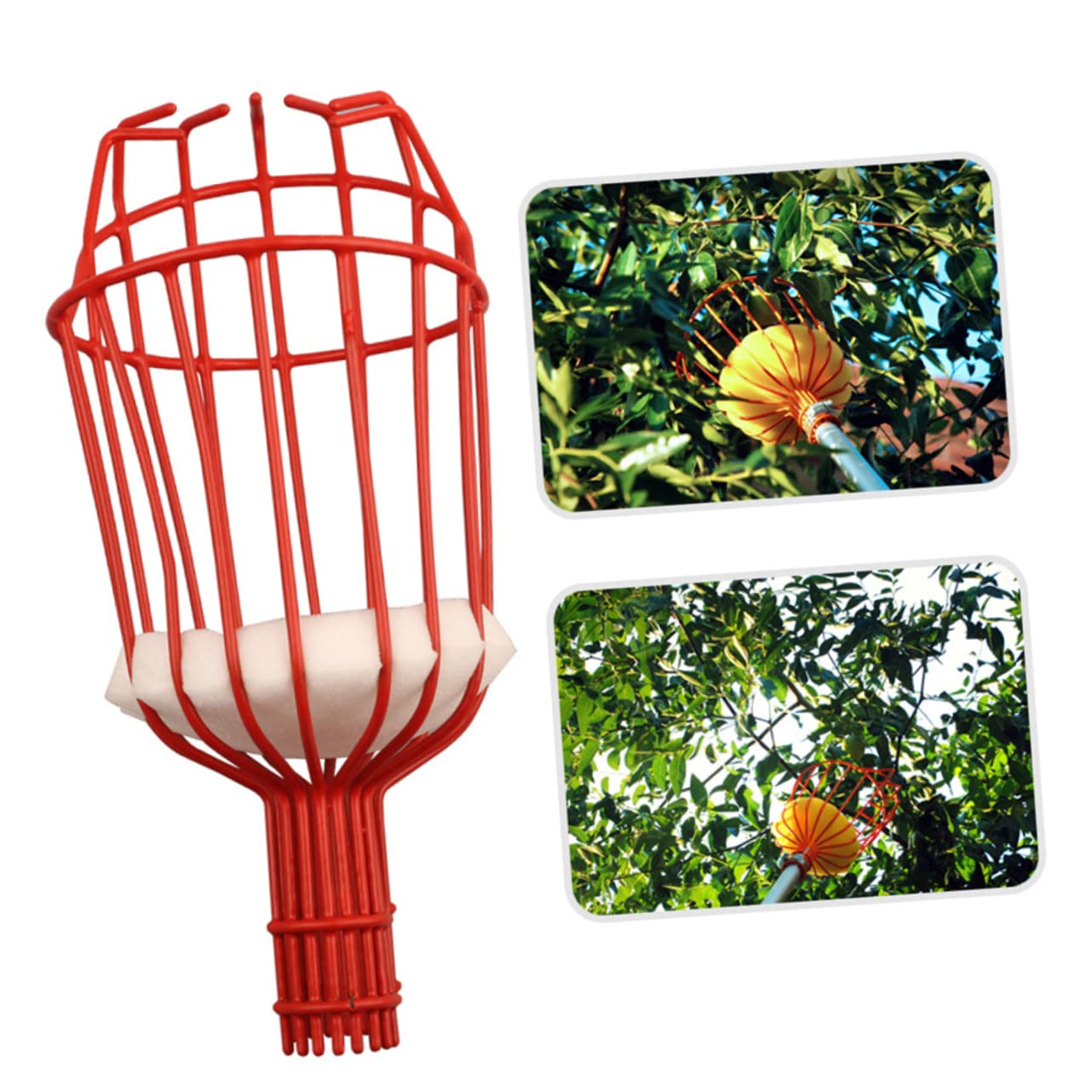 **Stainless Steel Fruit Picker Basket with Extendable Pole - Easy Harvesting Tool for Apples, Pecans, Jujubes & More - Perfect for Home Garden, Orchard & Farm Use**