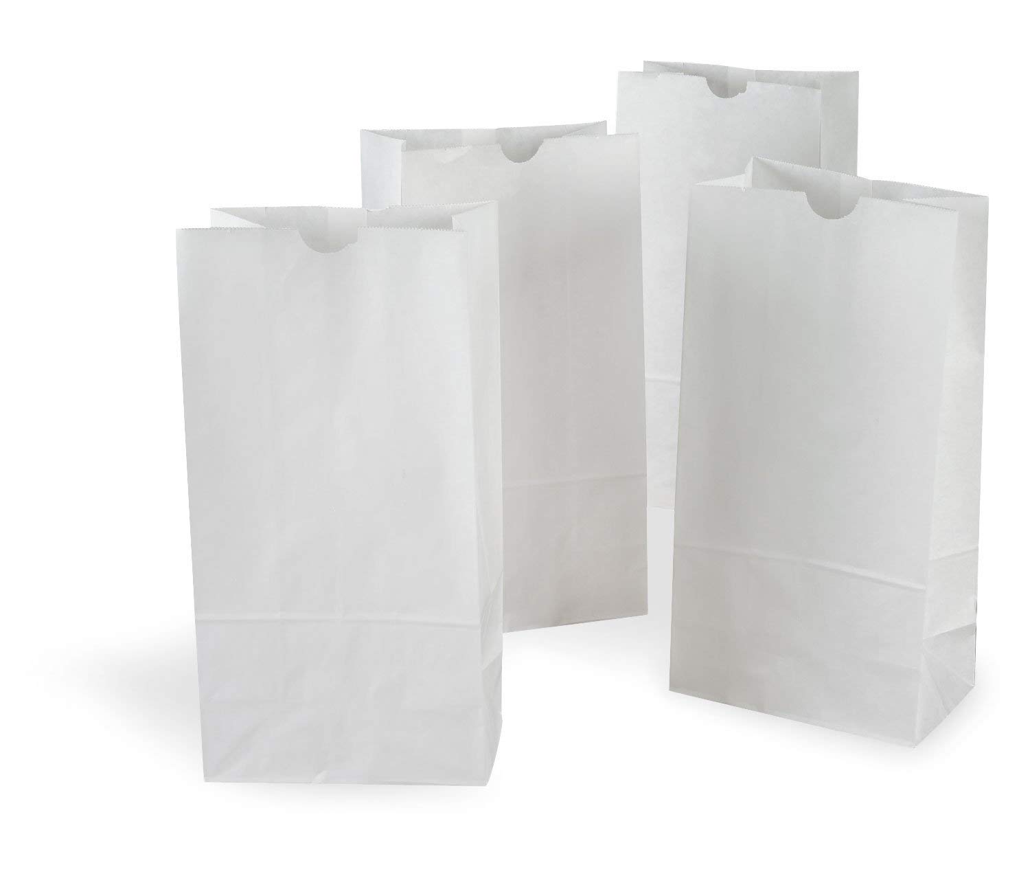 500 Pack 5 lb White Kraft Paper Bags - Eco-Friendly Lunch Bags, Sandwich Bags & Small Grocery Bags for Parties, Picnics, Takeout & Food Storage | Bulk White Paper Bags for Restaurants, Cafes & Home Use