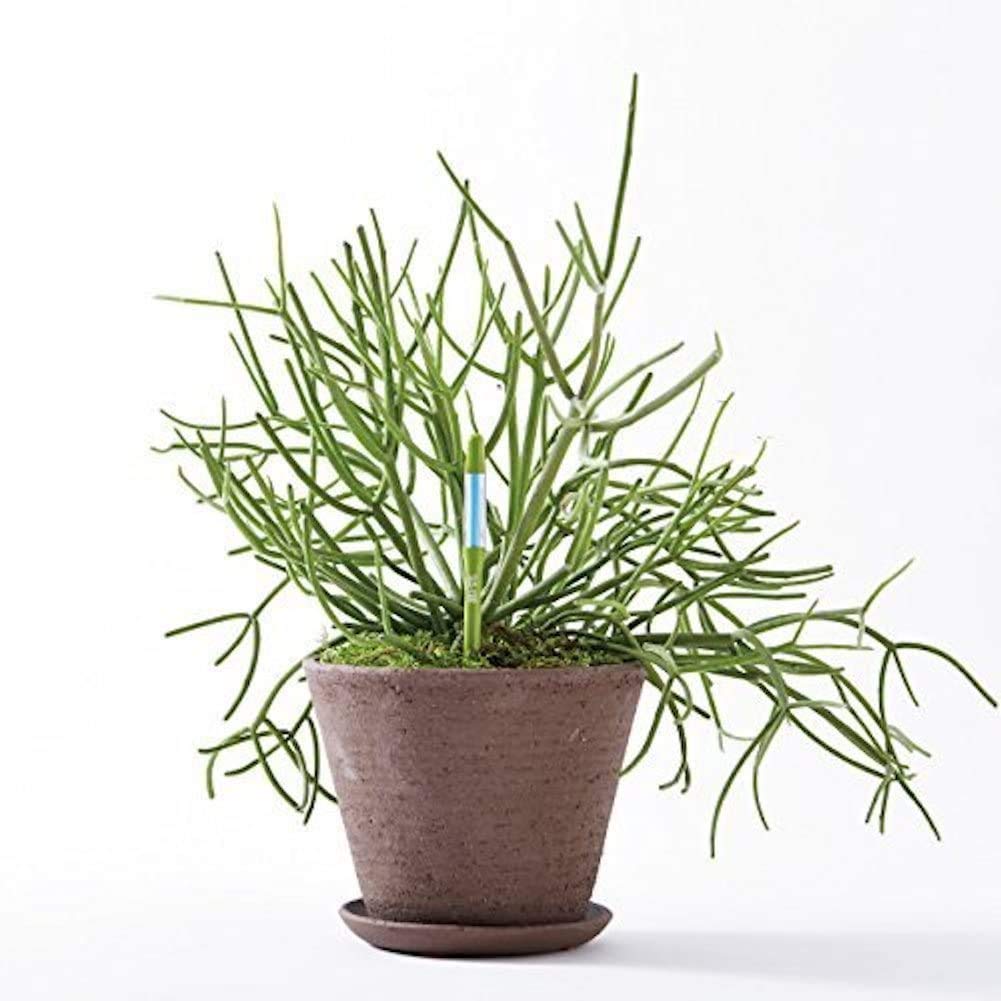 Sustee Aquameter - Set of 4 Plant Soil Moisture Sensors for Indoor/Outdoor Plants (Green, Small) | Perfect for Houseplants, Gardens & Greenhouses