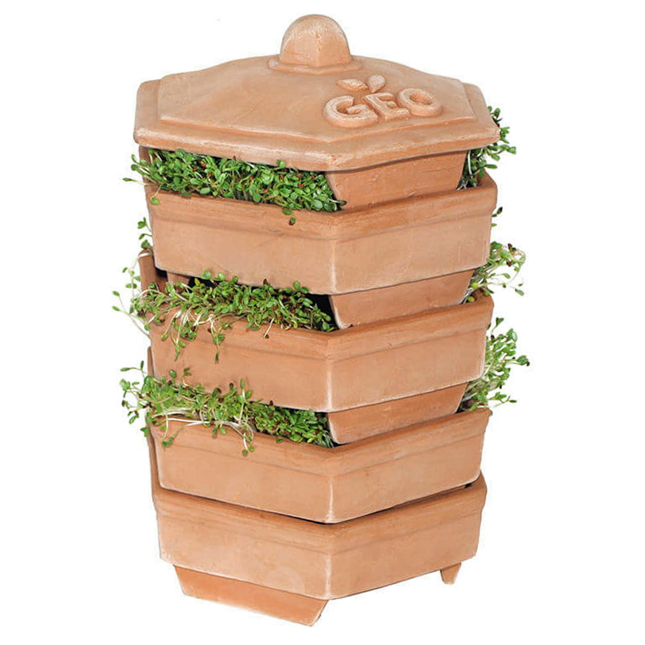 GEO Terradisiena 4-Tier Terracotta Sprouter - Organic Seed Sprouting Kit for Healthy Microgreens & Wheatgrass | Perfect for Indoor Gardening, Vegan Diet & Homegrown Superfoods