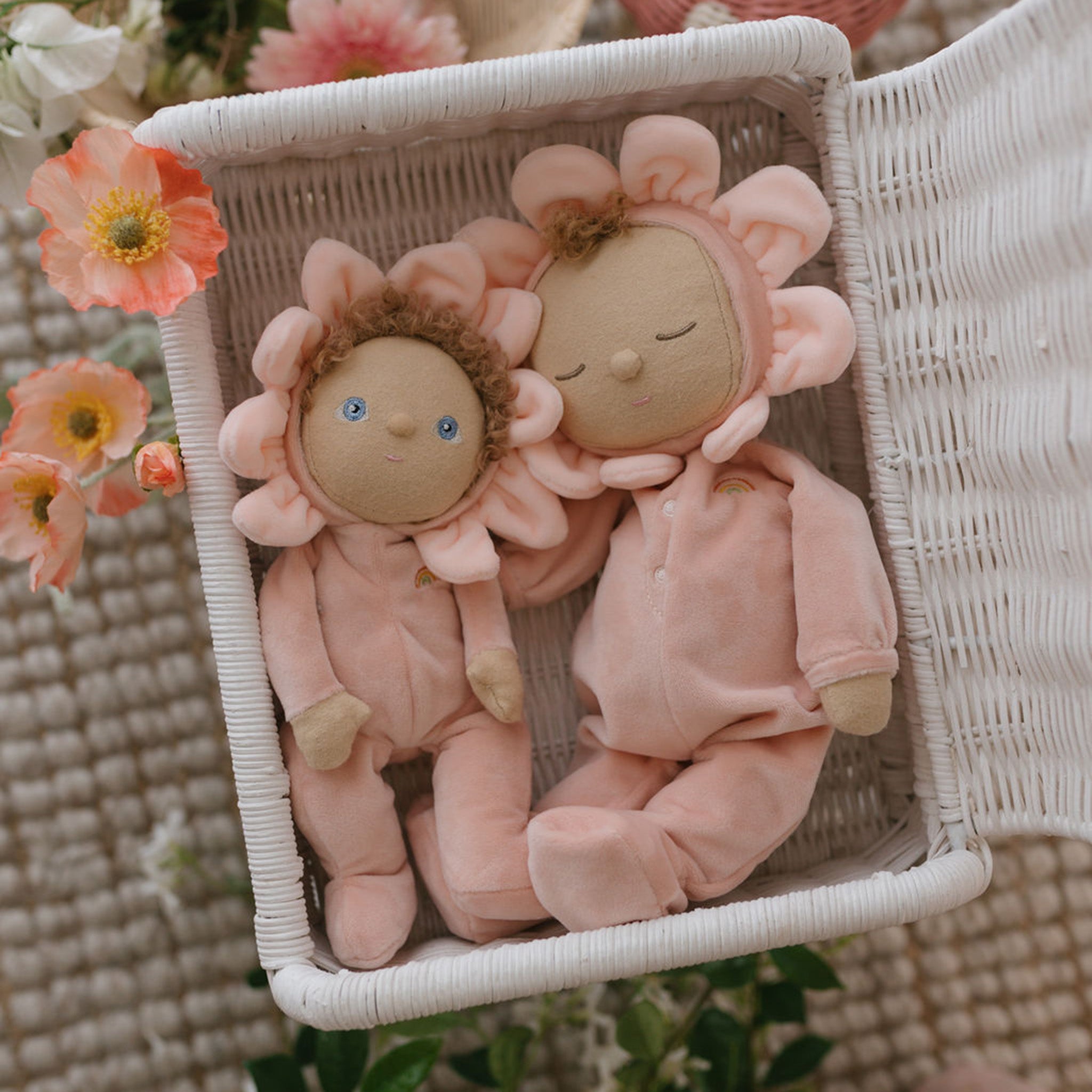 Limited Edition Blossom Buds Tulip Gift Set - Perfect for Mother's Day, Valentine's Day & Birthday Presents
