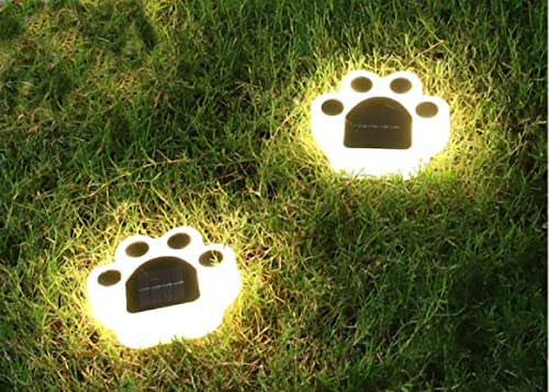 Bears paw warm light