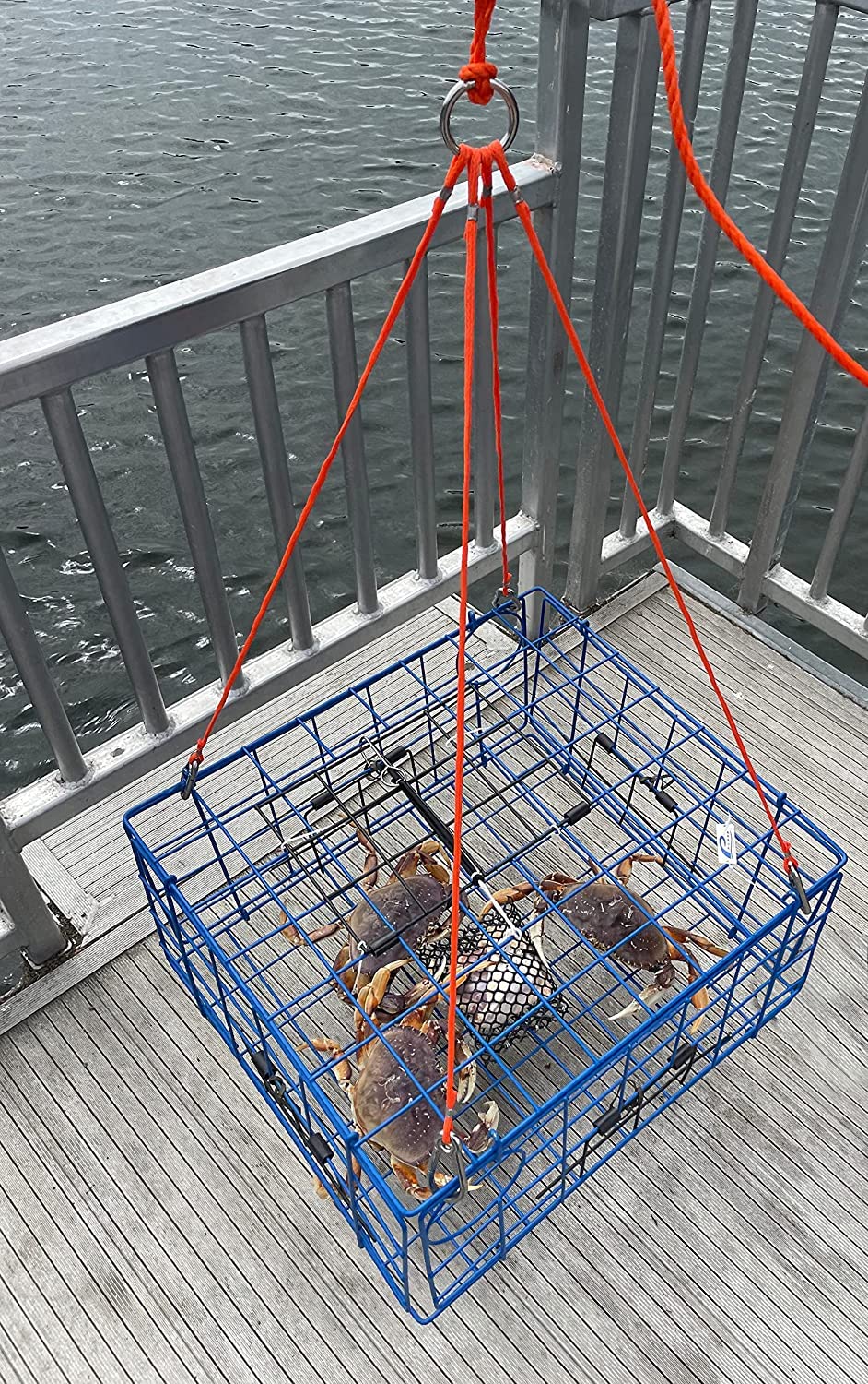 AirFly 4 Arm Crab Trap Harness with 304 Stainless Steel Hooks & Buoy Float - Durable Saltwater Fishing Gear for Crabbing, Lobstering & Shellfish Trapping
