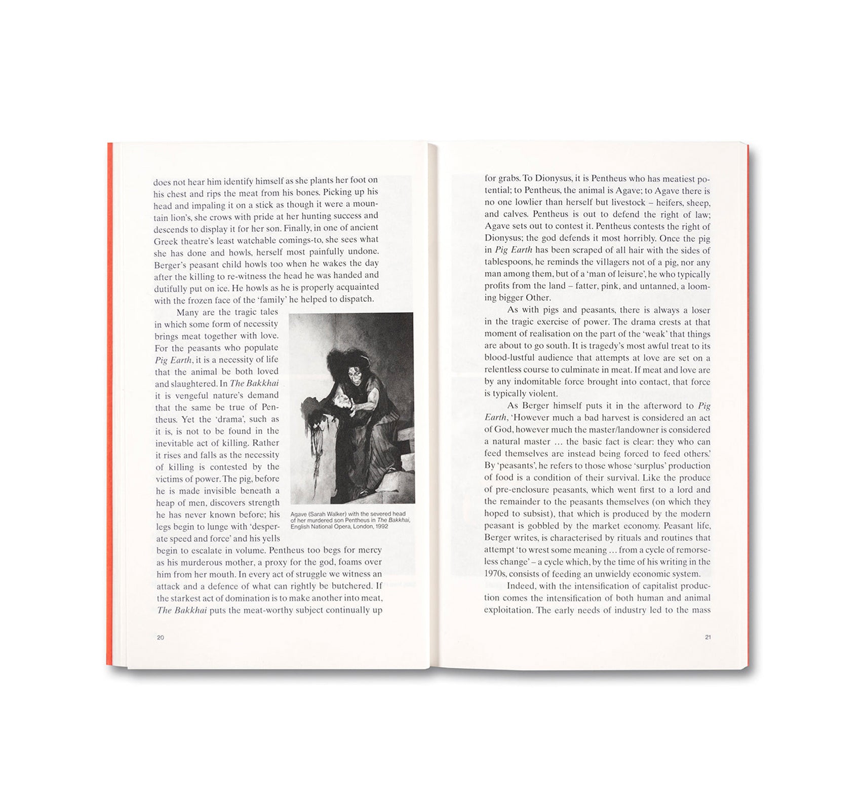 MEAT LOVE: AN IDEOLOGY OF THE FLESH by Amber Husain | Philosophy Book on Carnal Desire & Modern Culture | Perfect for Food Studies & Gender Theory Discussions
