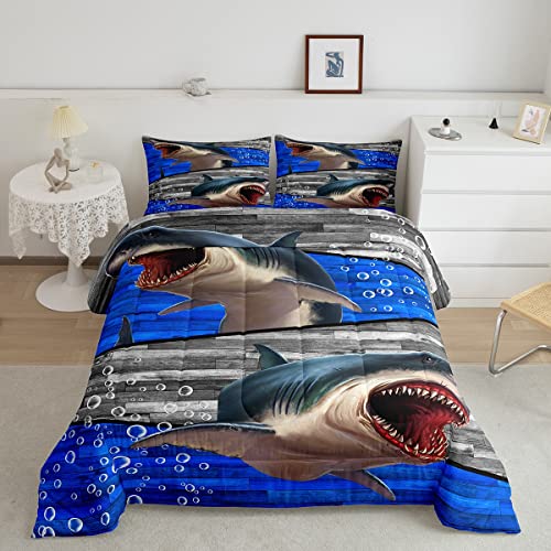 Shark 01