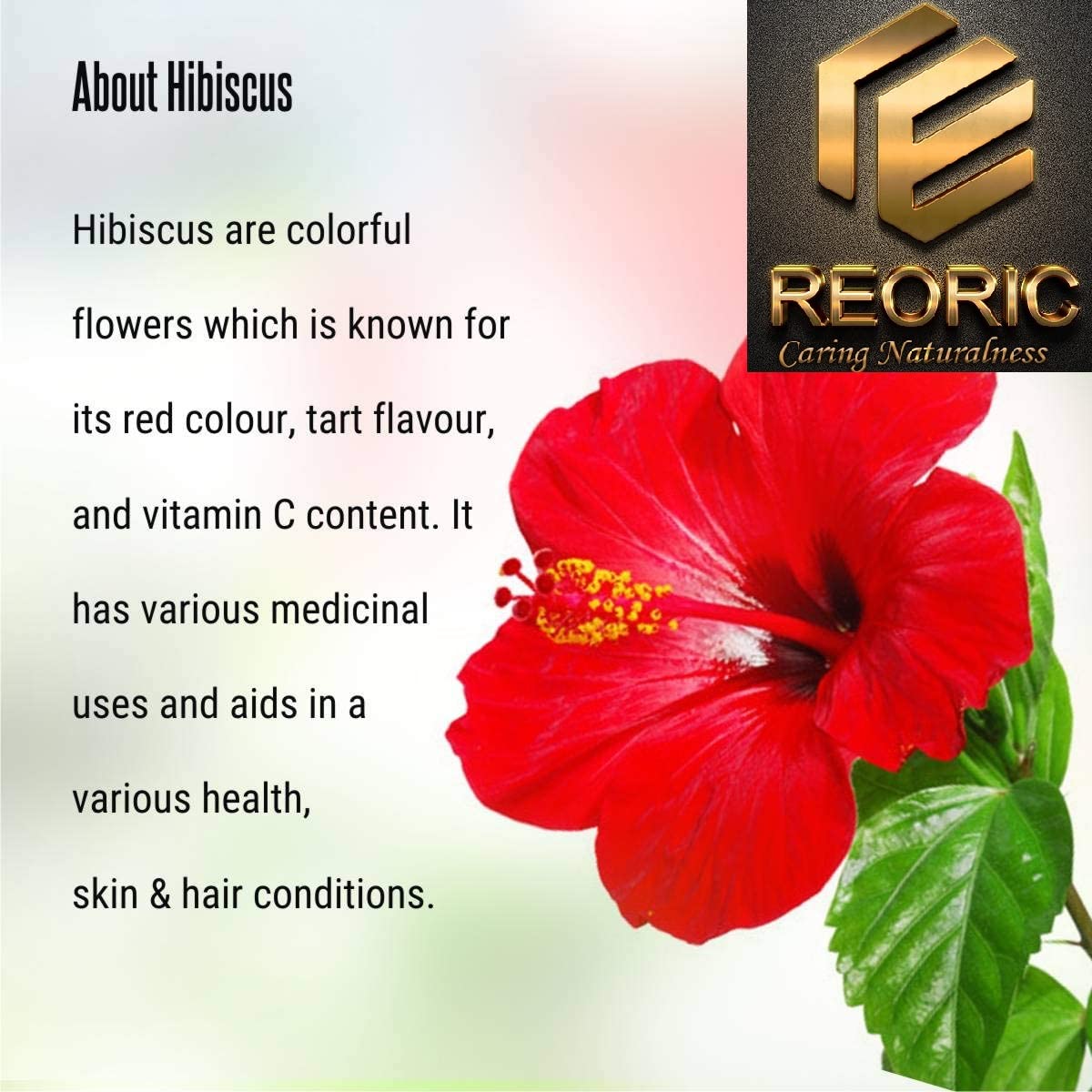 Organic Amla Powder, Bhringraj Powder & Hibiscus Powder Combo (300g x 3) | Natural Hair Growth & Skin Care Treatment | Ayurvedic Herbal Supplement for Shiny Hair & Glowing Skin | Perfect for DIY Hair Masks, Face Packs & Herbal Remedies