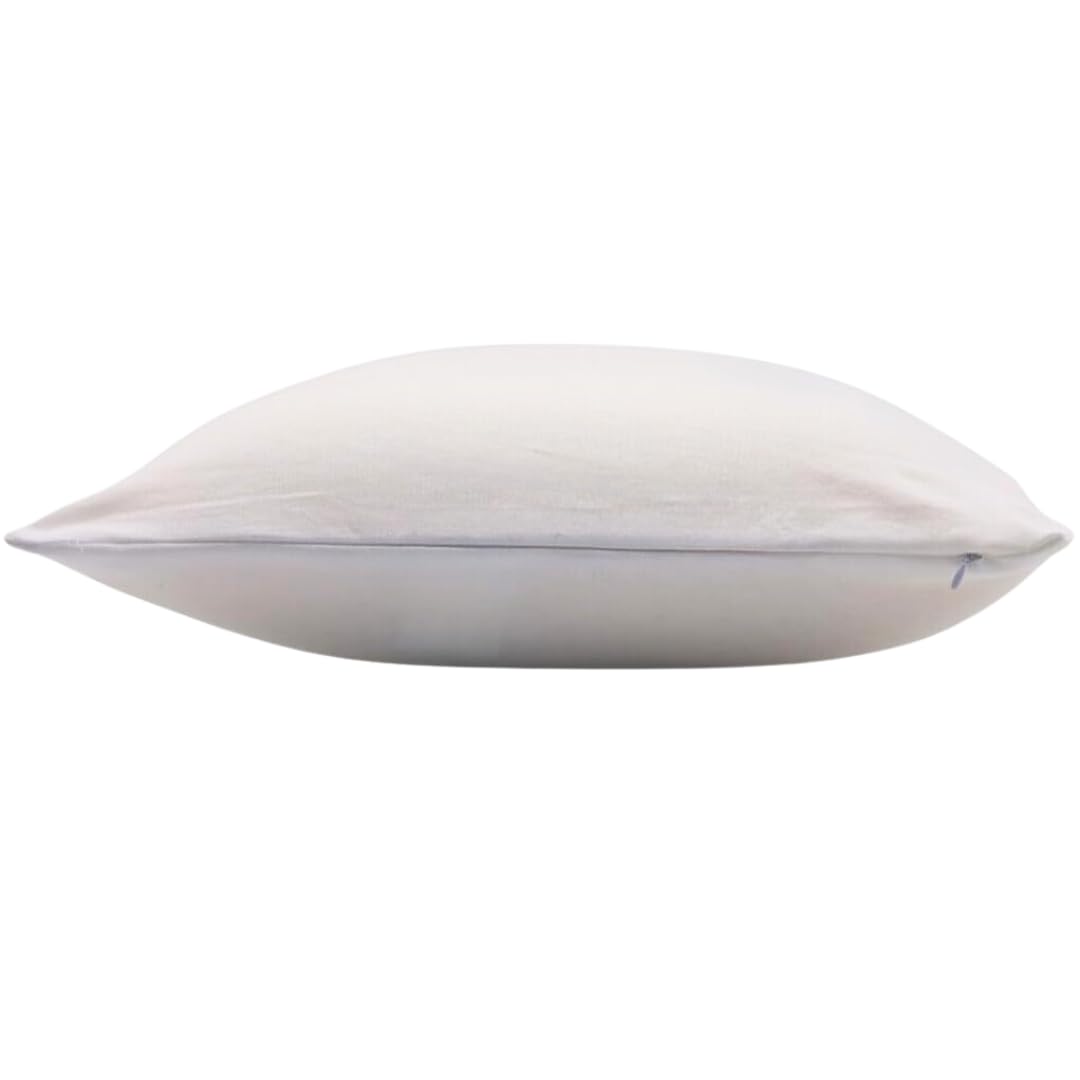 Organic Talalay Latex Pillows with GOTS Certified Organic Cotton Cover - King Size Extra Soft 2-Pack for Neck Pain Relief & Head Support - Perfect for Side, Back & Stomach Sleepers - Ideal for Bedroom, Guest Room & Hotel Use