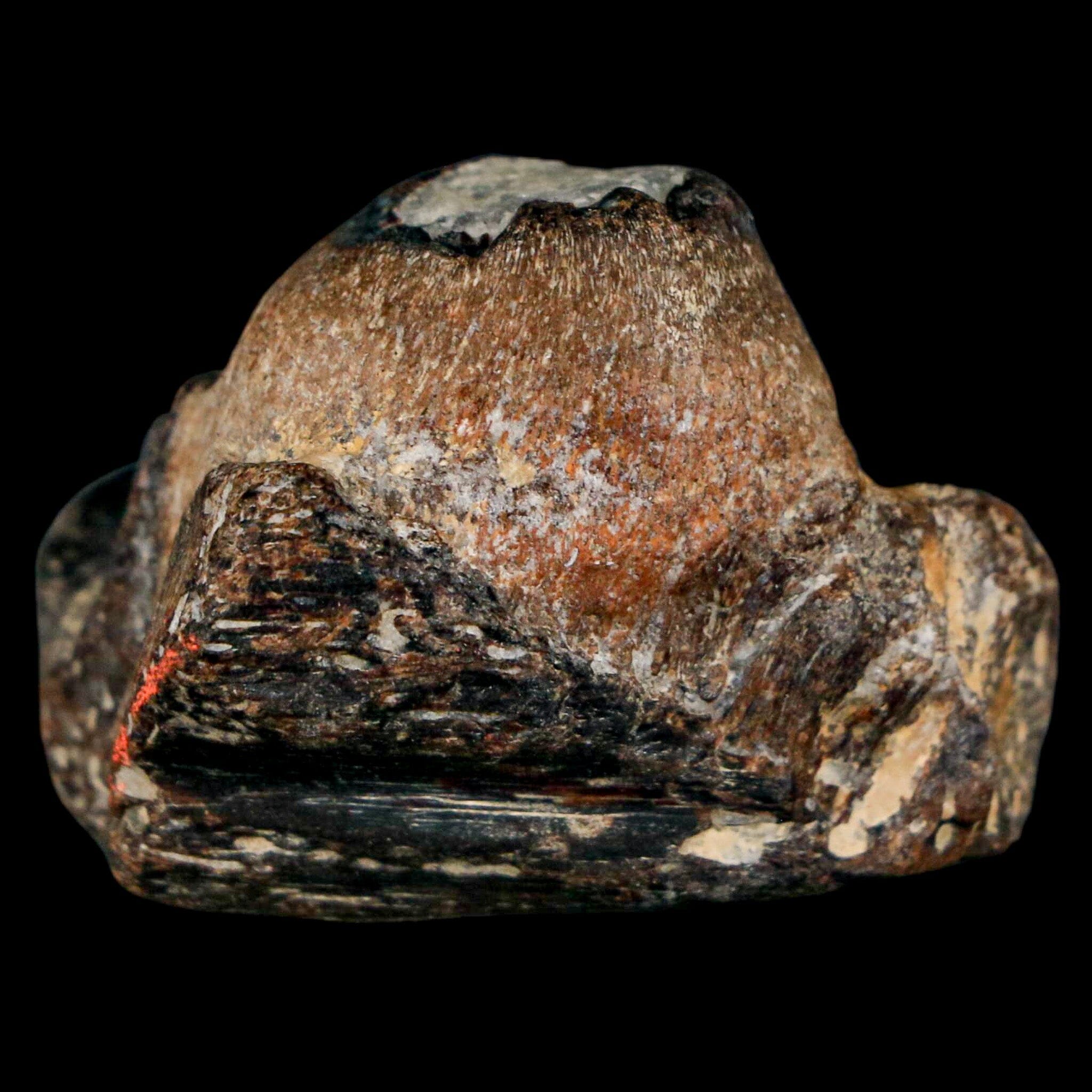 1.5