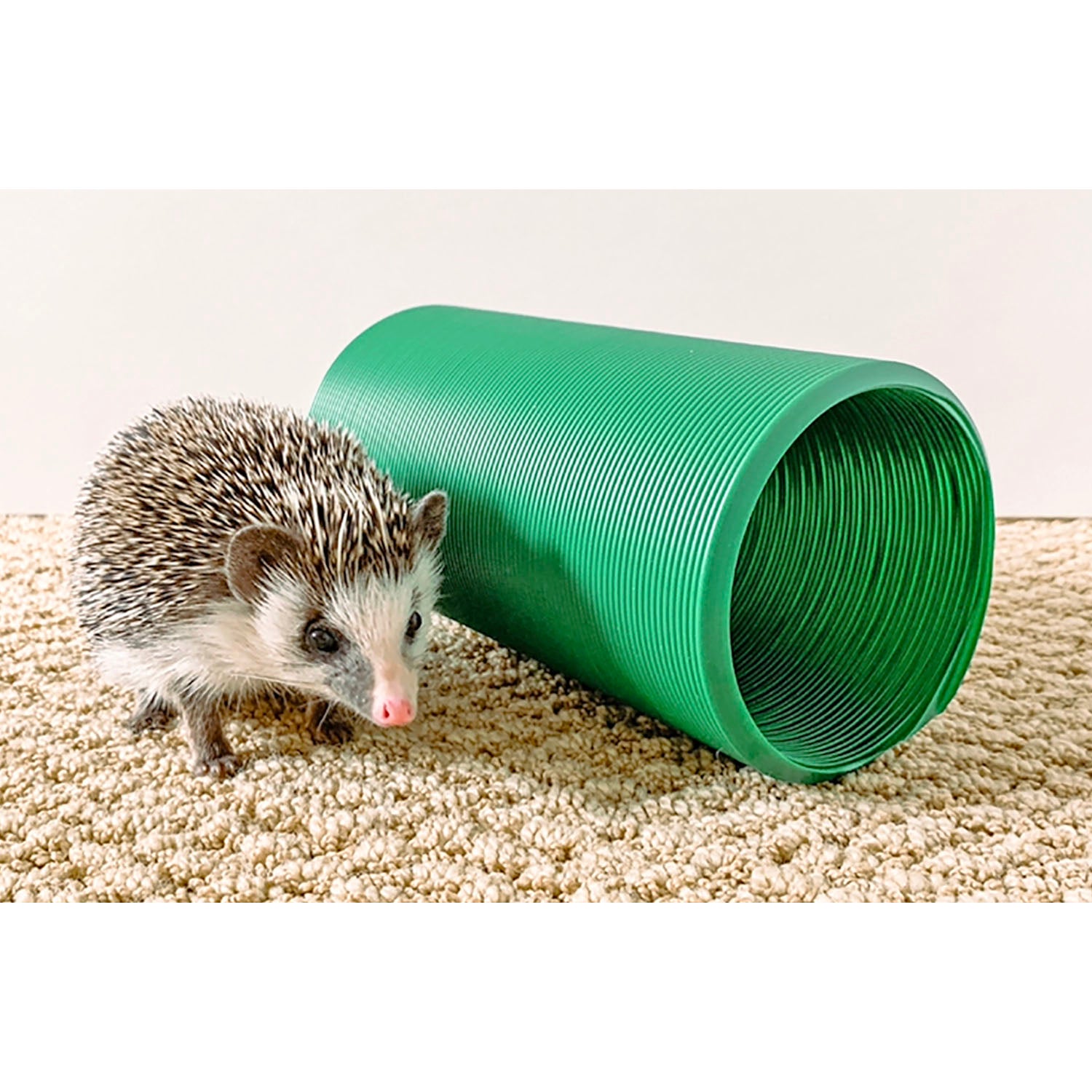 Xpand Tunnel - Expandable Garden Hose with No-Kink Technology | Perfect for Watering Plants, Washing Cars & Outdoor Cleaning