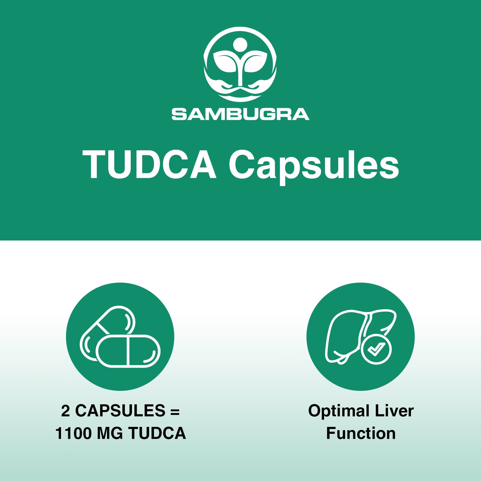 Premium TUDCA 1100mg Liver Support Supplement - Ultra Strength Bile Salt for Liver Detox, Cleanse & Repair | 3rd Party Tested | 240 Capsules (4-Pack) | Supports Liver Health for Alcohol Recovery, Fatty Liver & Digestive Wellness