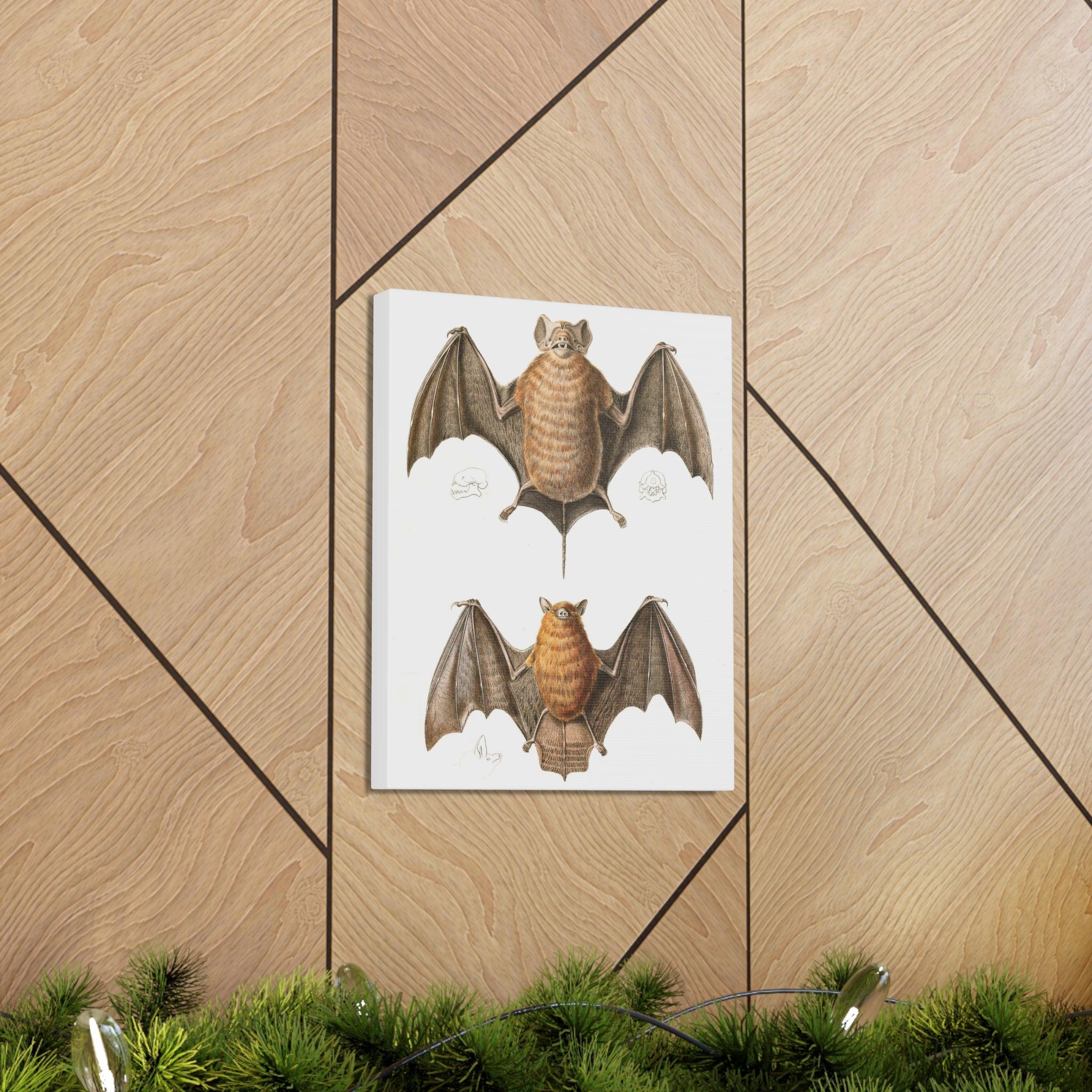 Free Tailed Bats Wall Art - Stunning Wildlife Illustration Canvas Print for Home & Office Decor - Perfect for Nature Lovers, Bat Enthusiasts, and Gothic Interior Design