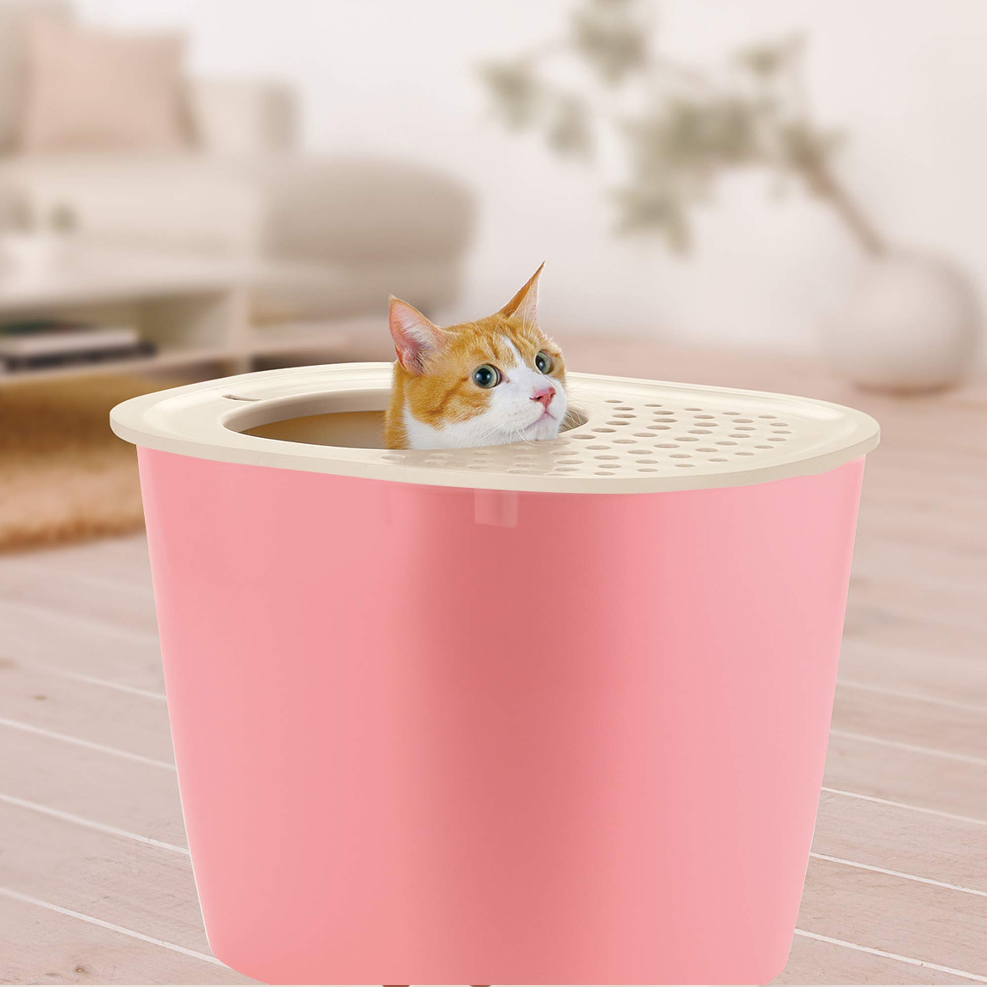 Richell PAW TRAX Top Entry Hooded Cat Litter Box - Enclosed Litter Pan for Odor Control, Salmon Pink | Perfect for Small Spaces & Multi-Cat Homes