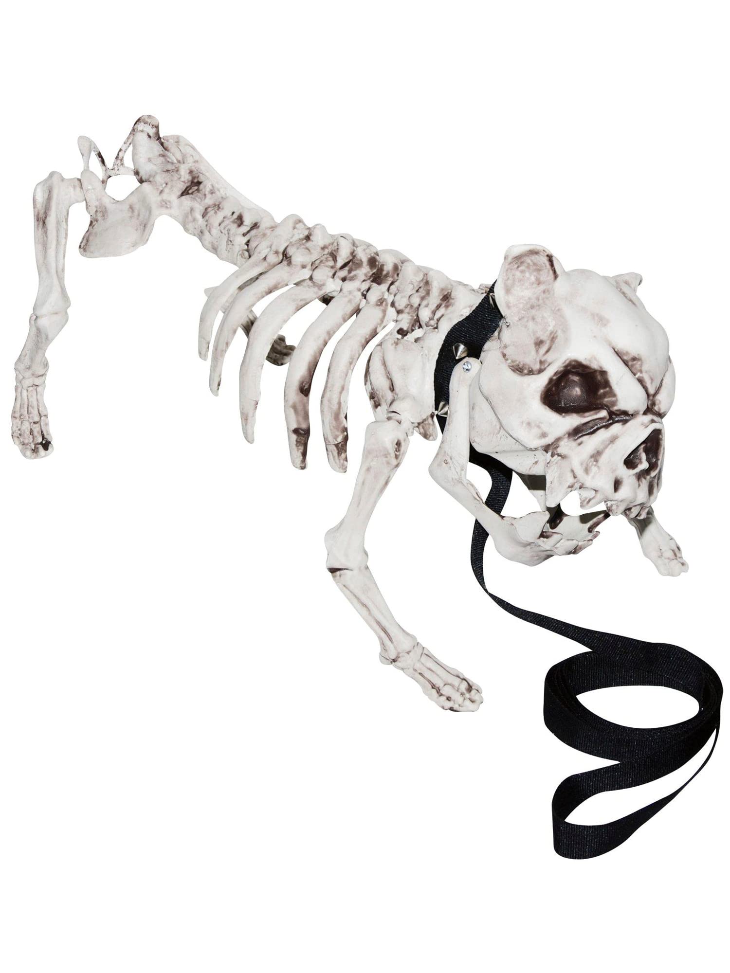 Shindigz Skeleton Dog Costume - Realistic Halloween Pet Outfit for Dogs | Perfect for Halloween Parties, Pet Parades & Spooky Photo Shoots