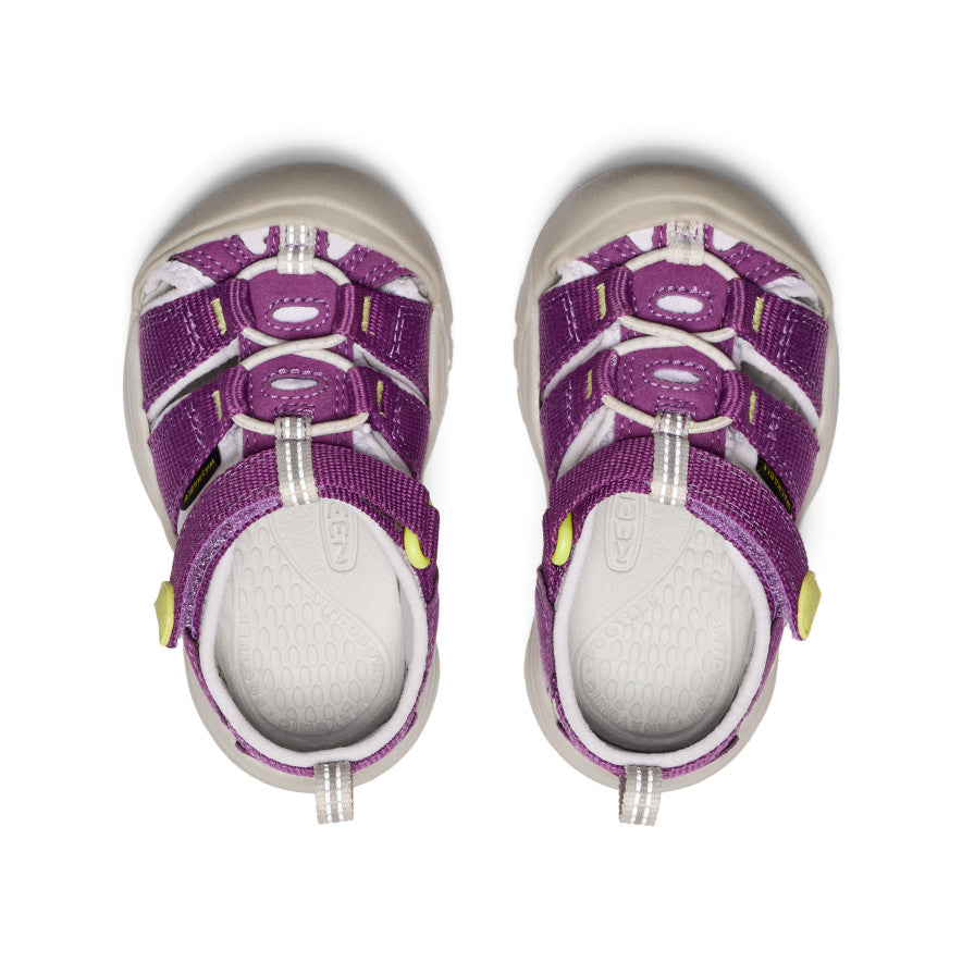 Newport H2 Toddler Sandals in Charisma/Daiquiri Green - Comfortable Kids' Beach Shoes for Summer Play & Outdoor Adventures