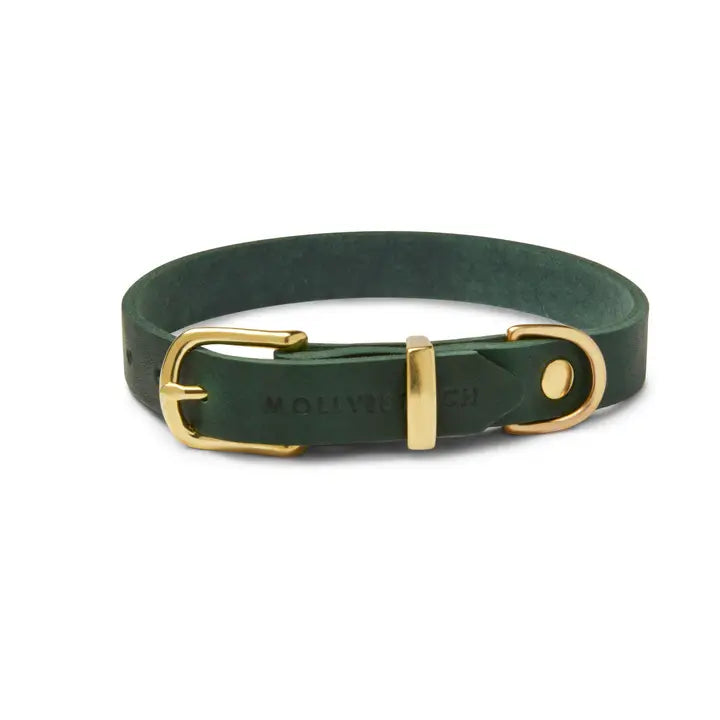 Stylish Forest Green Dog Collar - Durable & Adjustable Pet Collar for Small & Medium Dogs - Perfect for Walks, Training & Outdoor Adventures