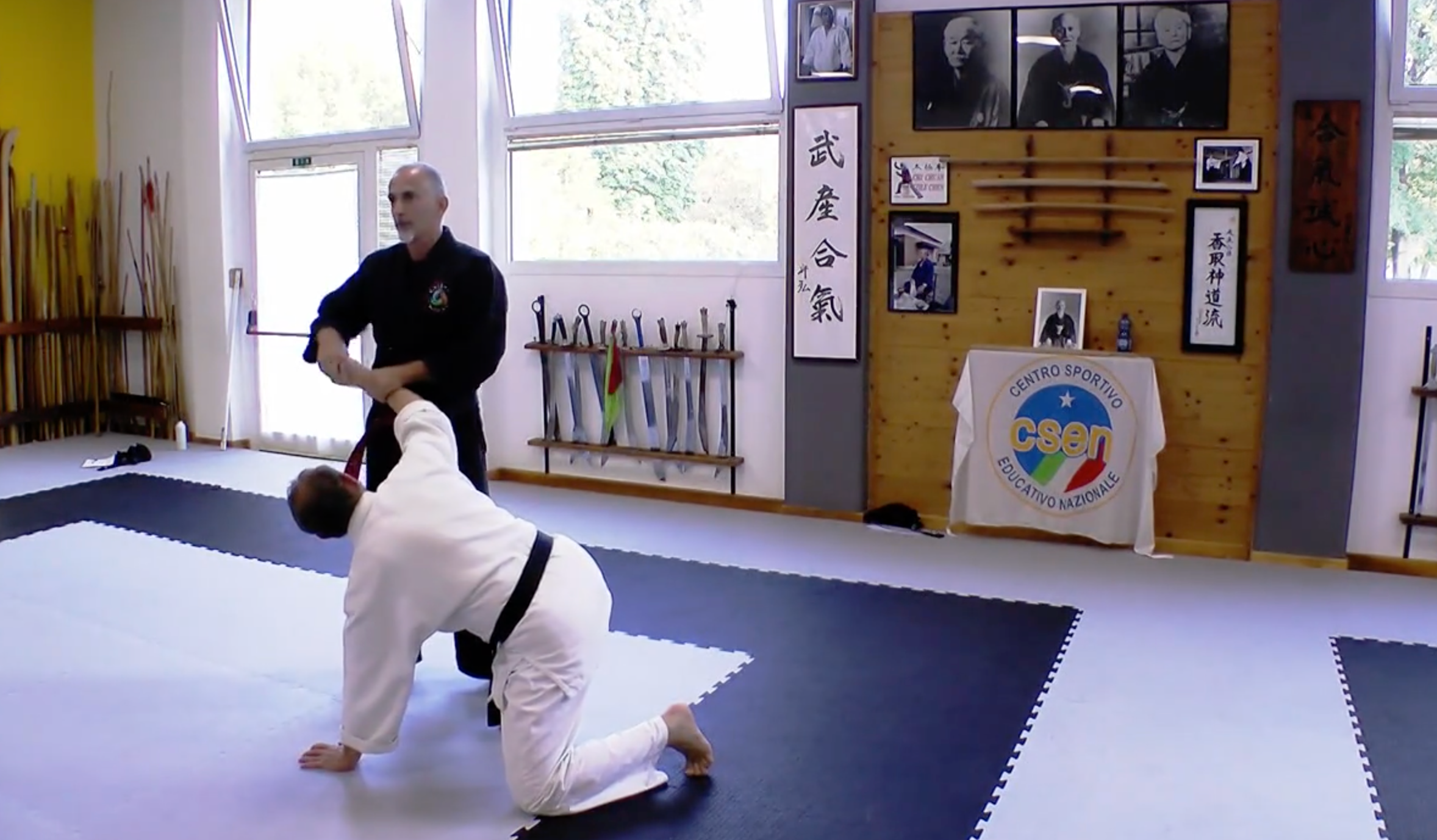 Become a Kyusho Instructor DVD 2 by Gianluca Frisan - Self-Defense Martial Arts Training for Home & Professional Use