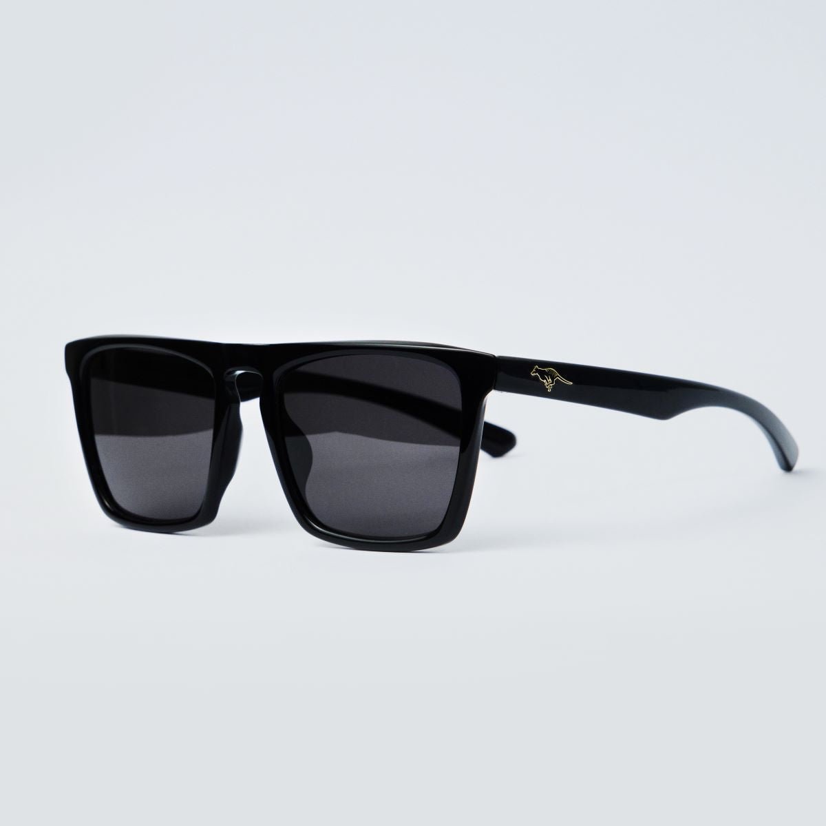 Eco-Friendly Tarkine Temperate Sunglasses - Recycled Plastic Frames & Polarized Lenses for Outdoor Activities, Hiking, and Beach Vacations