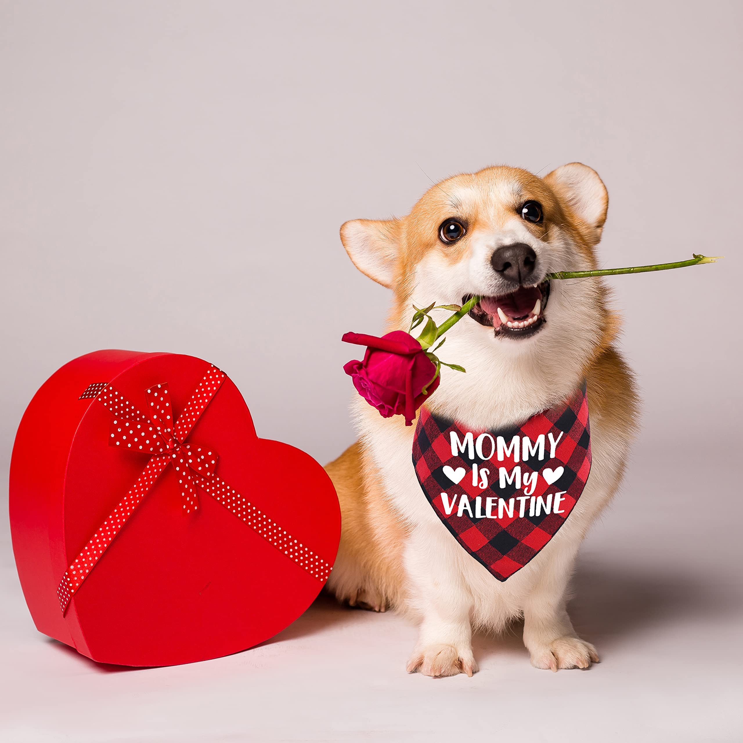 Valentine Dog Bandana for Pets - Red Buffalo Plaid for Holidays & Gifts
